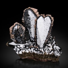 Espécimen Mineral Gemelo de Corazón de Calcita Blanca y Negra- Palmarejo, México