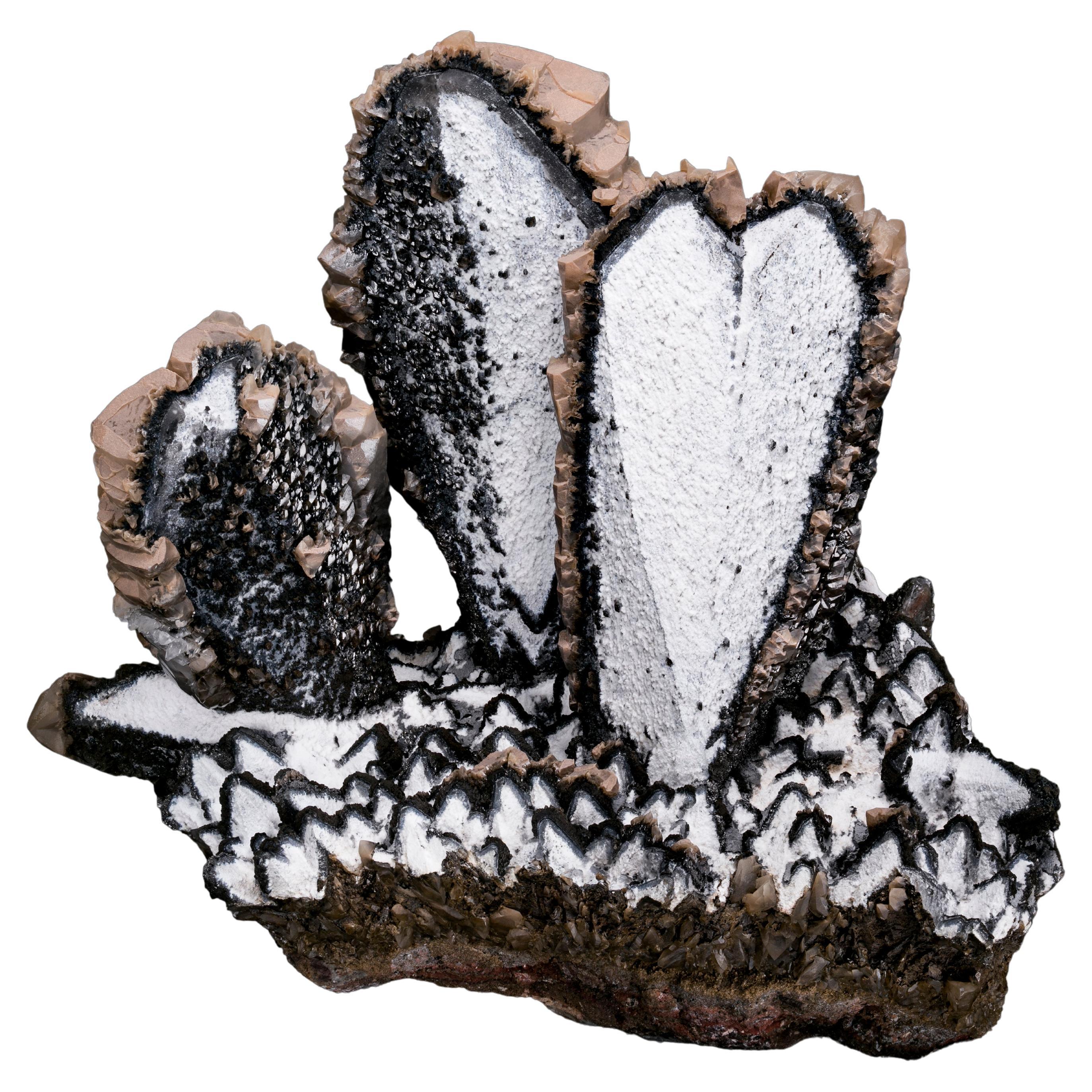 Black and White Calcite Heart Twin Mineral Specimen, Palmarejo, Mexico For Sale