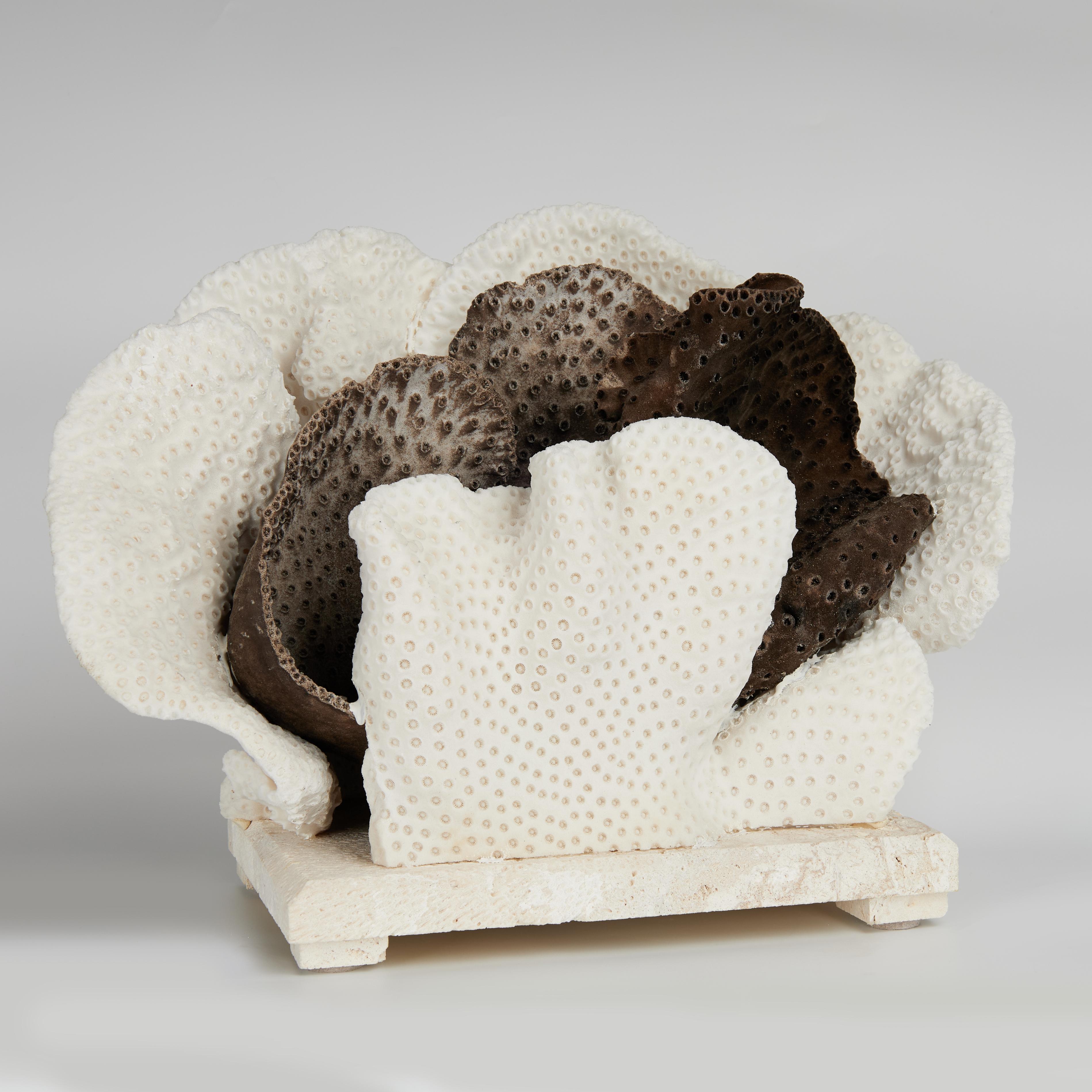 Impressionnant assemblage de coraux en forme de coupe, avec ses couleurs noires et blanches frappantes et sa texture inspirée de la mer, conçu et réalisé par F. S. Henemader. Présenté sur une base en pierre de coquina pour mettre en valeur les