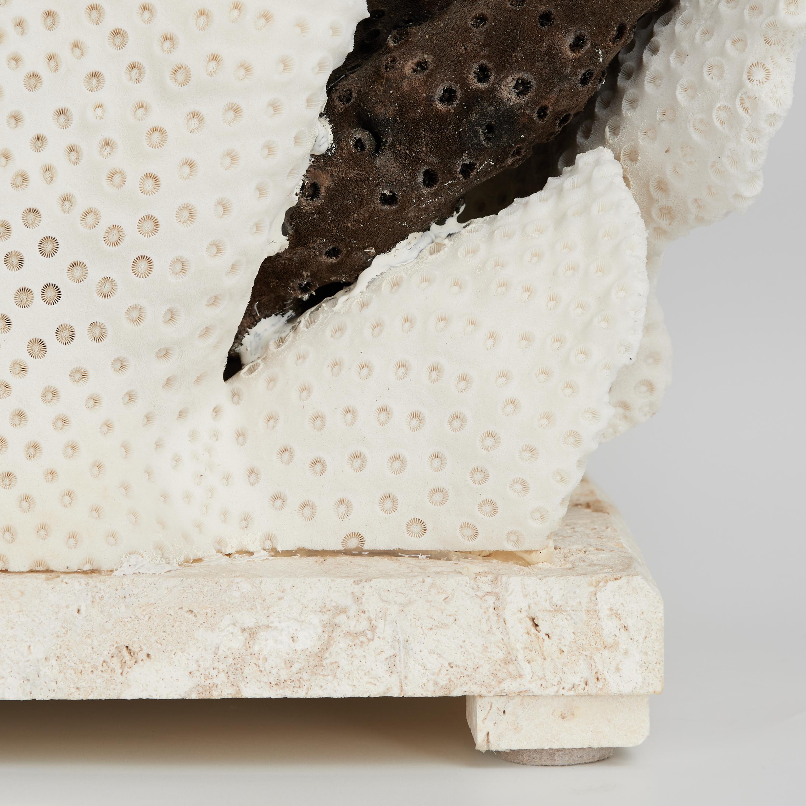 XXIe siècle et contemporain Centre de table en corail en forme de coupe, noir et blanc, sur pierre de Coquina en vente