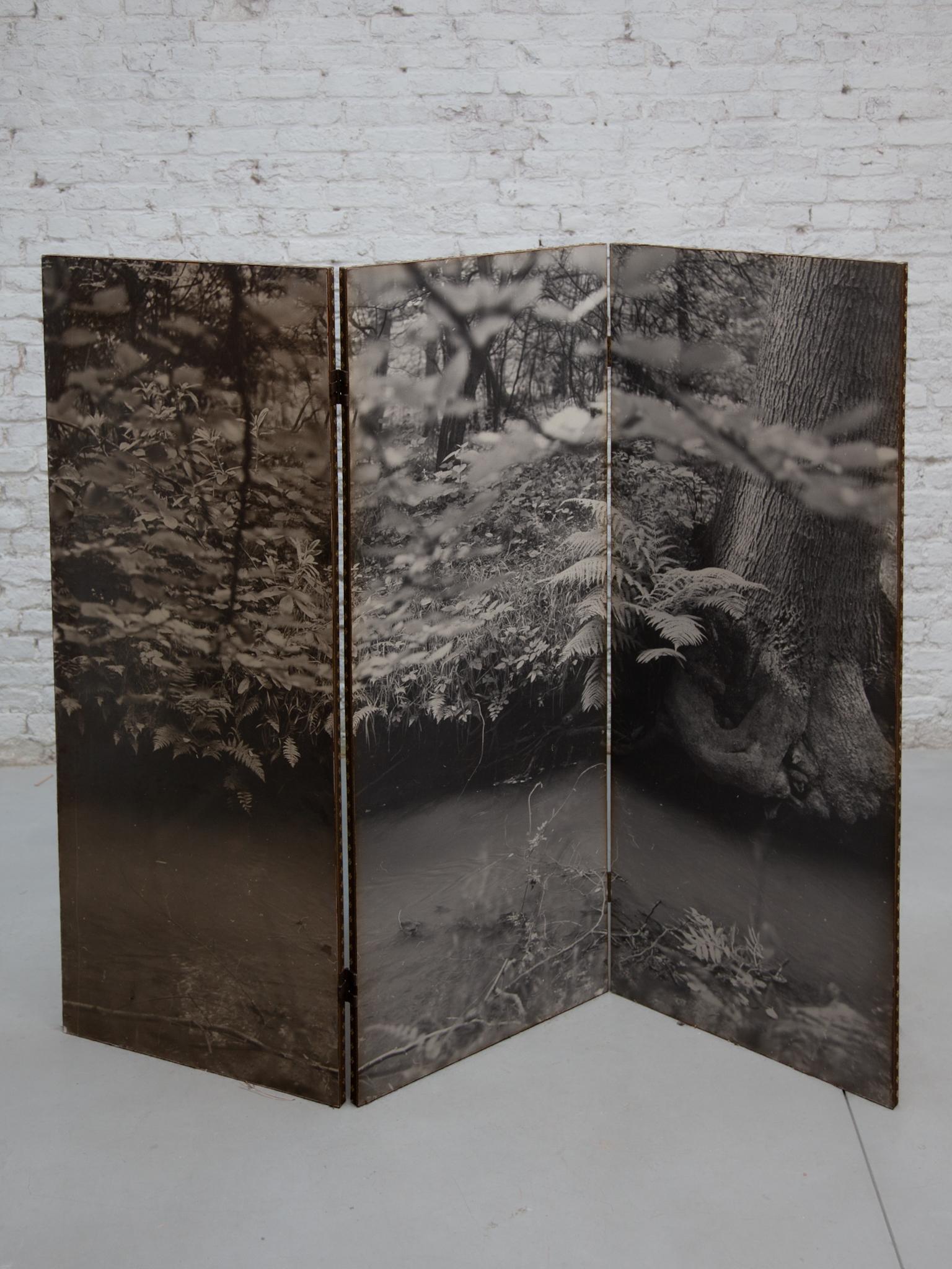 Ein dreiteiliger Paravent mit einer Holzstruktur und einem Foto in schwarz-weißer Nature Forest Dekor, 1960er Jahre. Agfa-Gevaert, Belgien Bilder.
