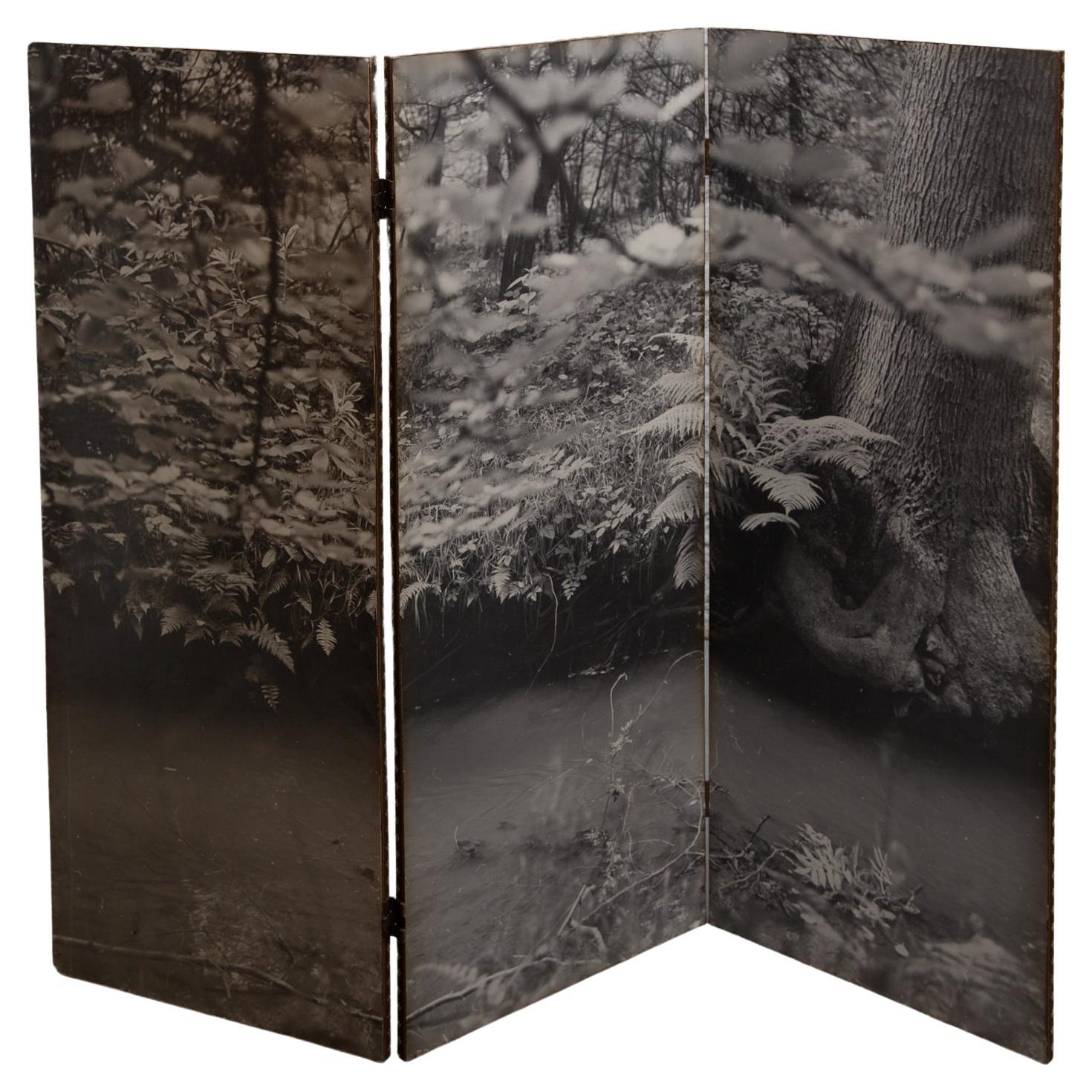 Schwarz-Weiß-Wälder, klappbarer Bilderschirm, 1960er Jahre, Belgien im Angebot