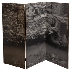 Vintage Black and White Forest, Picture Folding Screen, 1960s, Belgium