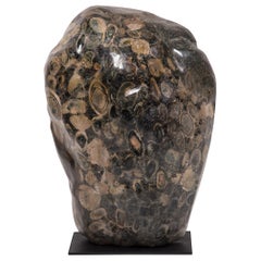Black and White Fossil Stone Sculpture