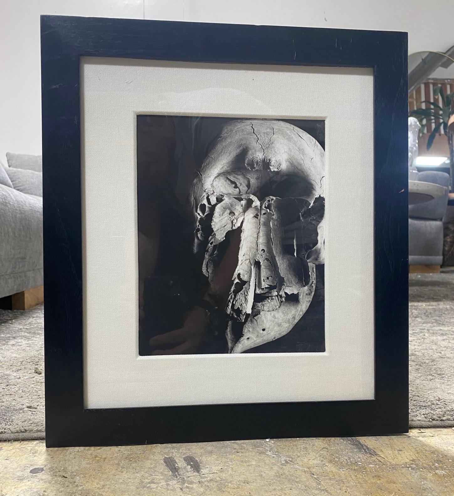 Eine ansprechende abstrakte Schwarz-Weiß-Fotografie eines menschlichen Schädels.  Seltsam verführerisch und schön.  

Das Foto wird mit einem Passepartout versehen und mit UV-geschütztem Glas gerahmt.  

Es wäre eine großartige Ergänzung für jede