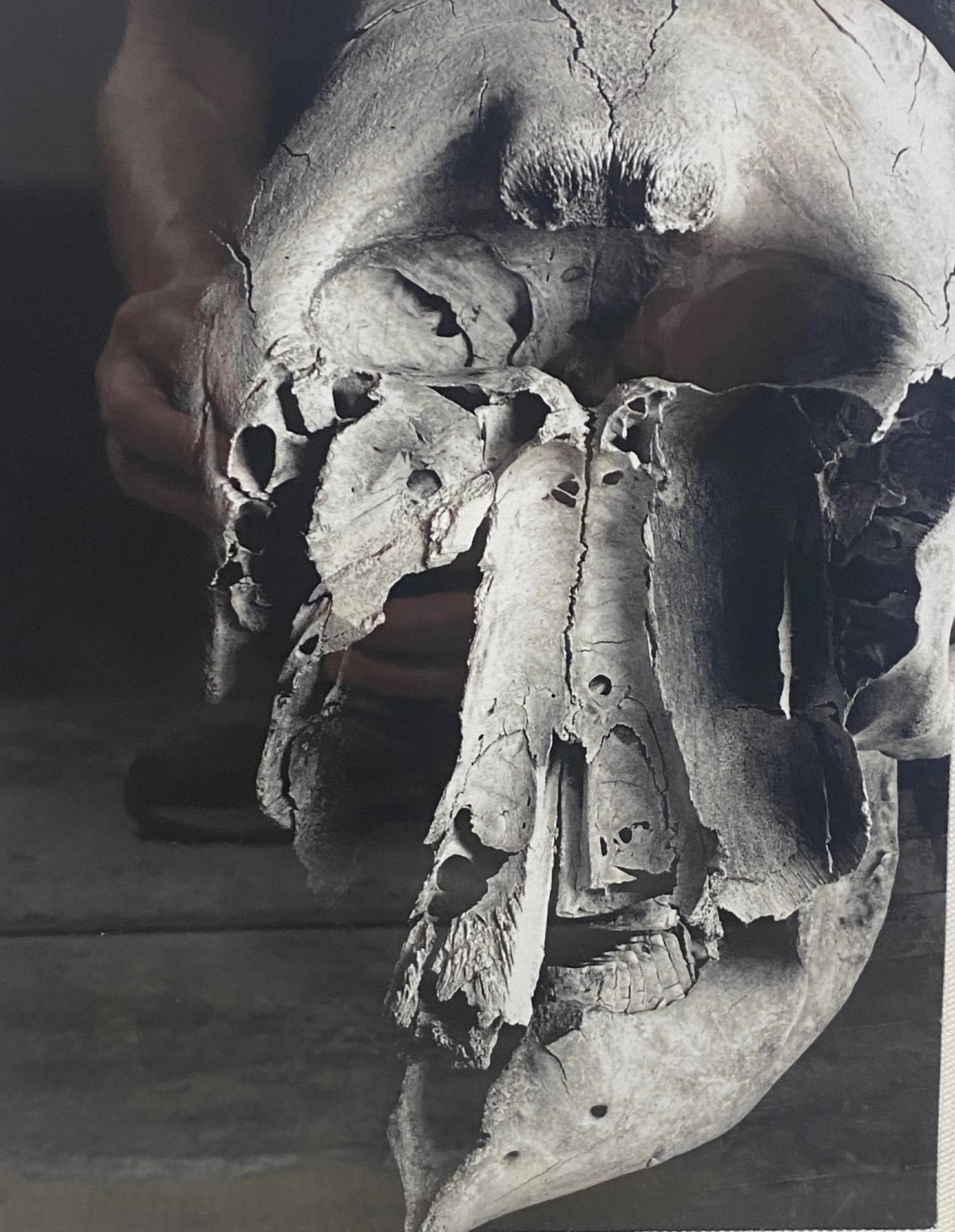 Schwarz-Weiß gerahmtes Foto mit menschlichem Totenkopf, Kunstfotografie (amerikanisch) im Angebot