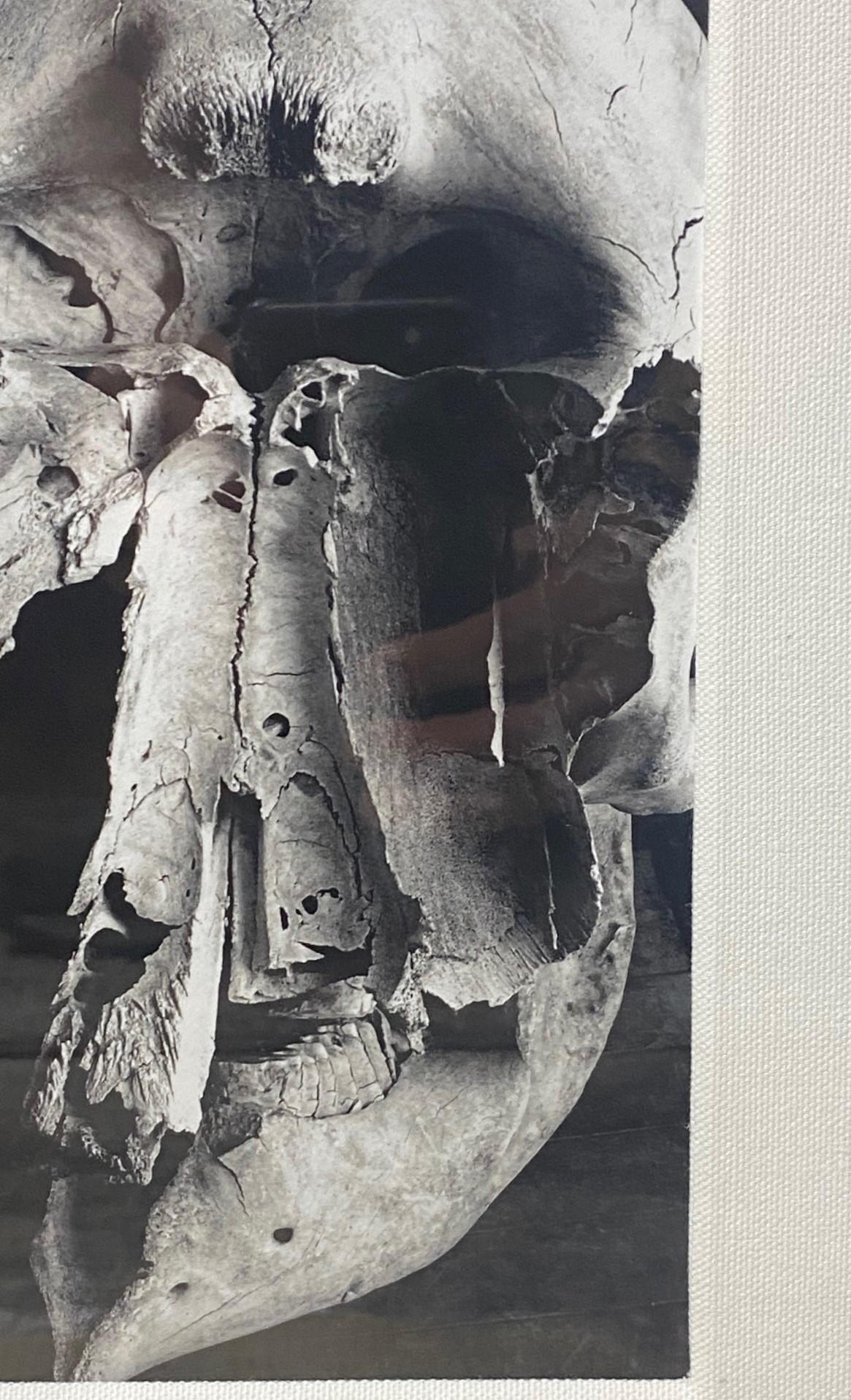 Schwarz-Weiß gerahmtes Foto mit menschlichem Totenkopf, Kunstfotografie (20. Jahrhundert) im Angebot