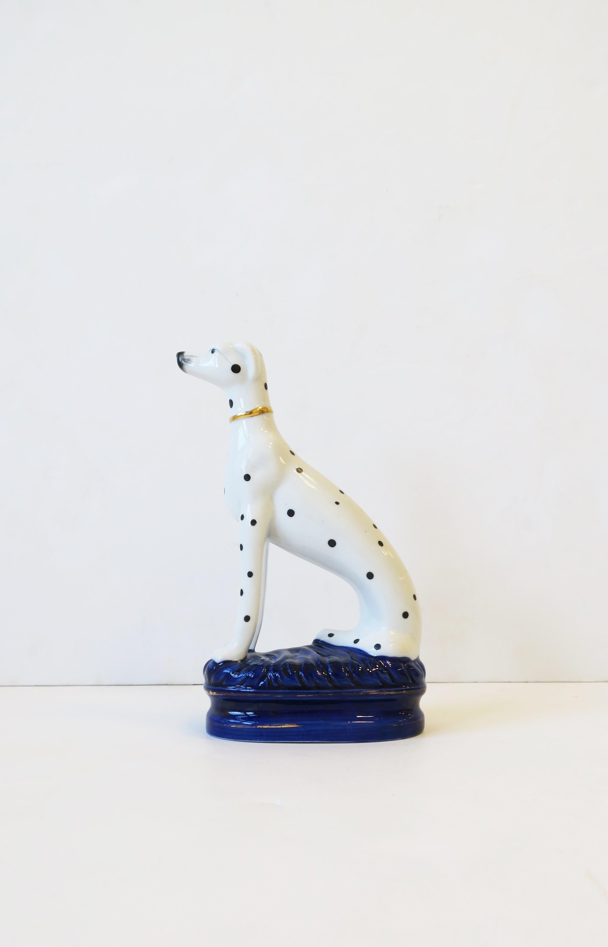 black and white greyhound