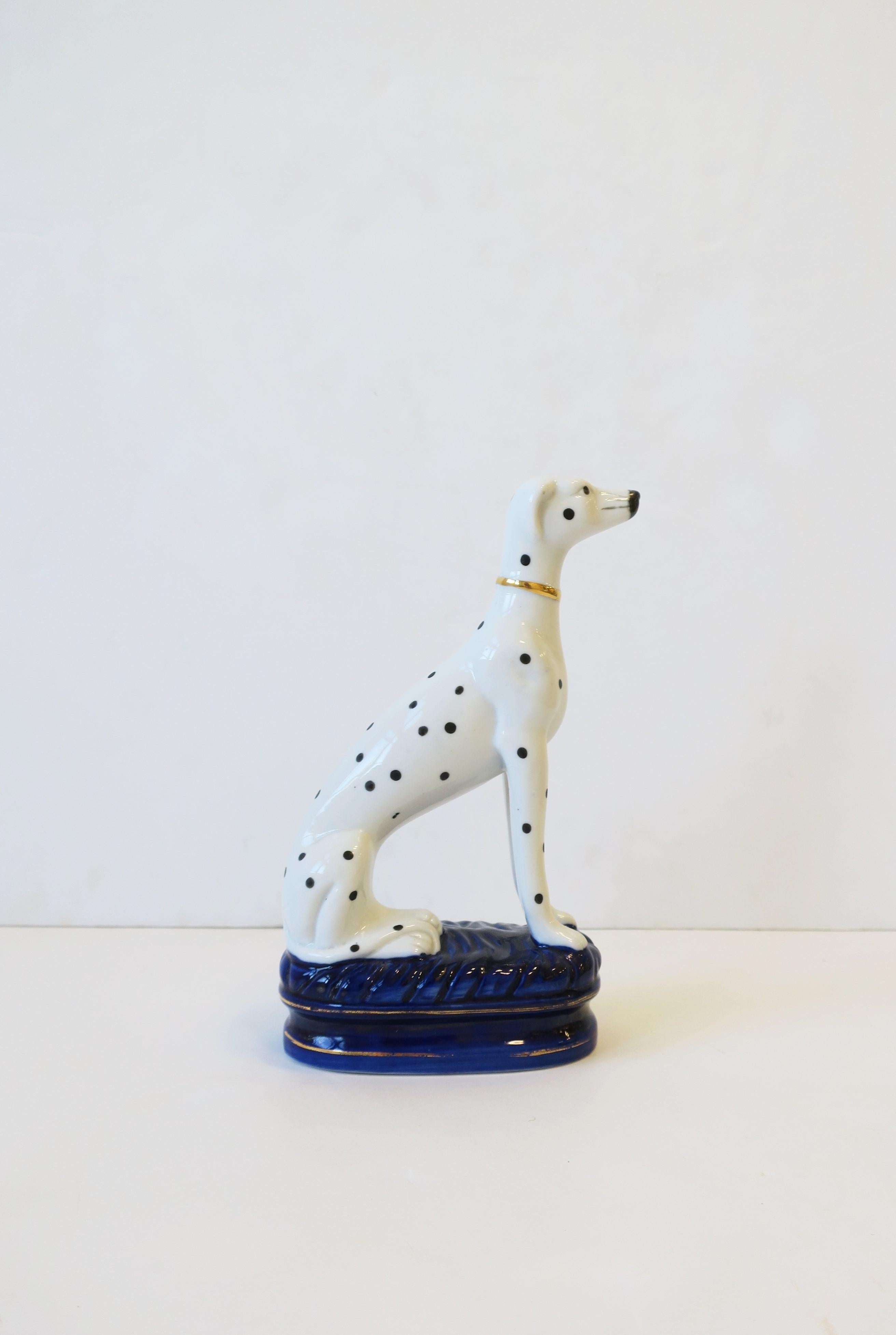 black and white whippet