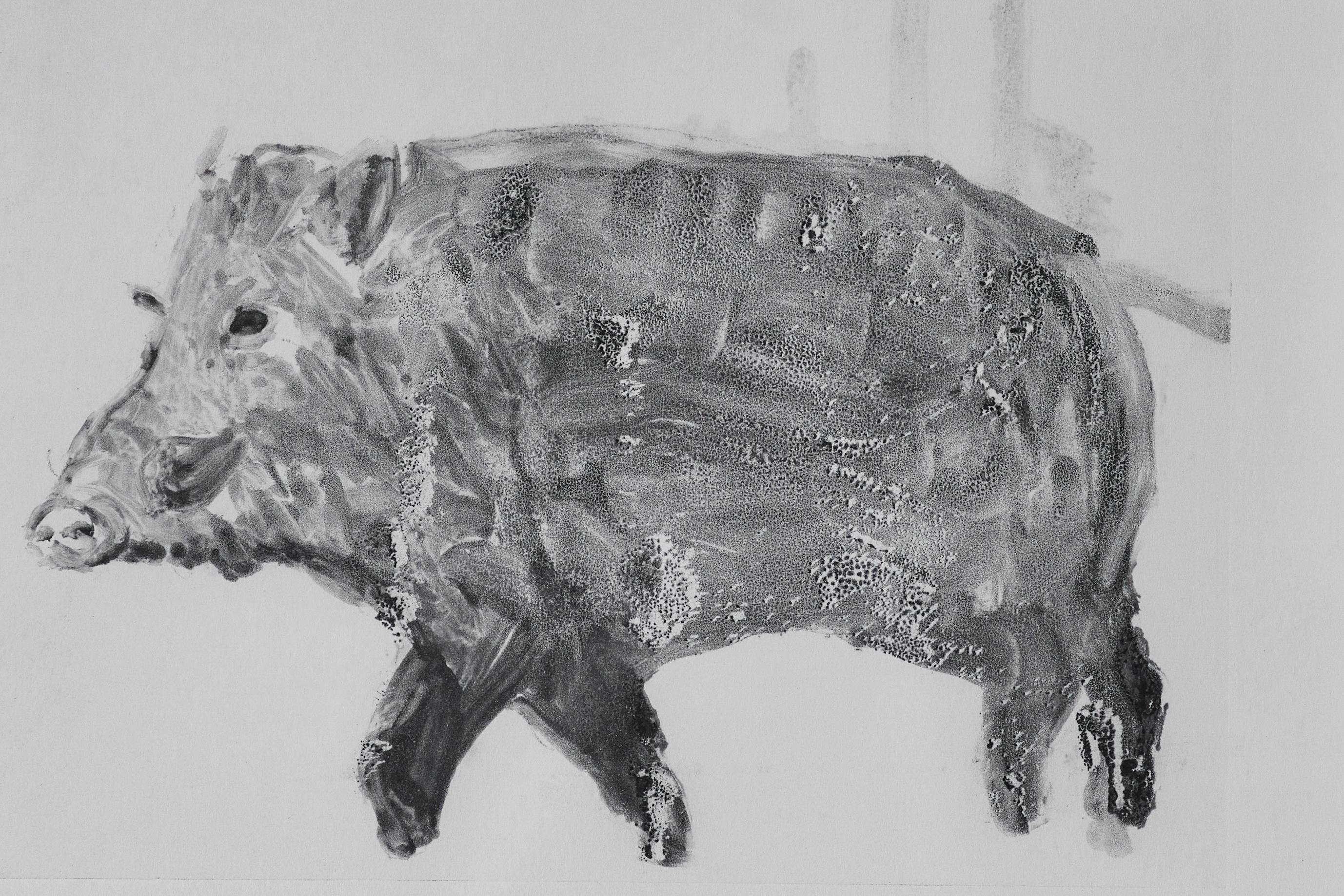 One of a kind monotype of a boar by Cyril Kuhn, a Los Angeles based artist. The monotype was newly framed.