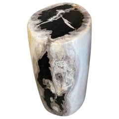 Antique Black and White Petrified Wood Side Table