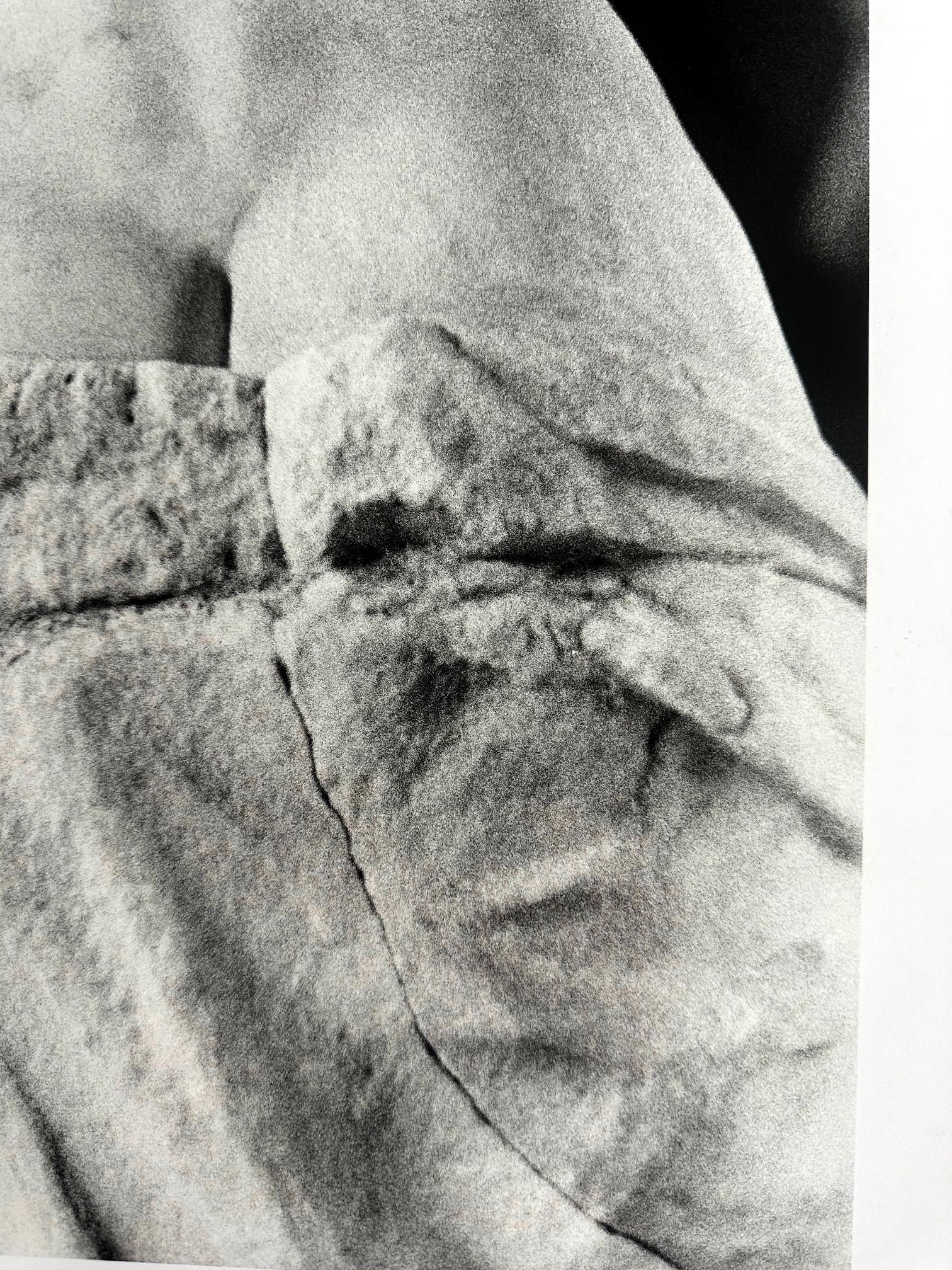 Schwarz-Weiß-Fotografie von Ralph Gibson, signiert und datiert (Ende des 20. Jahrhunderts) im Angebot