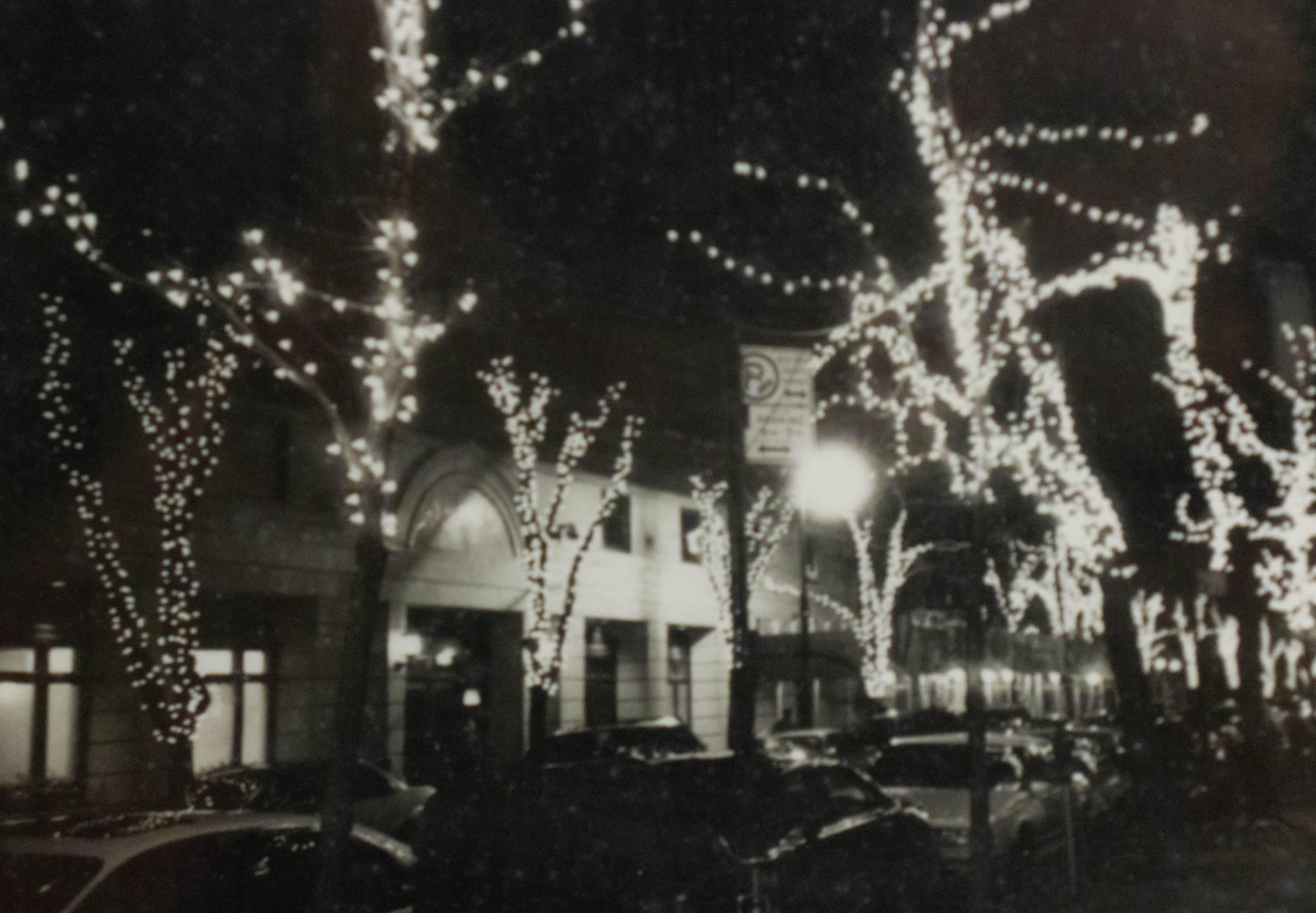 Black and white photograph in a black frame of a street scene with festive lights strung in trees. Photography by Shelley Harrison.
  