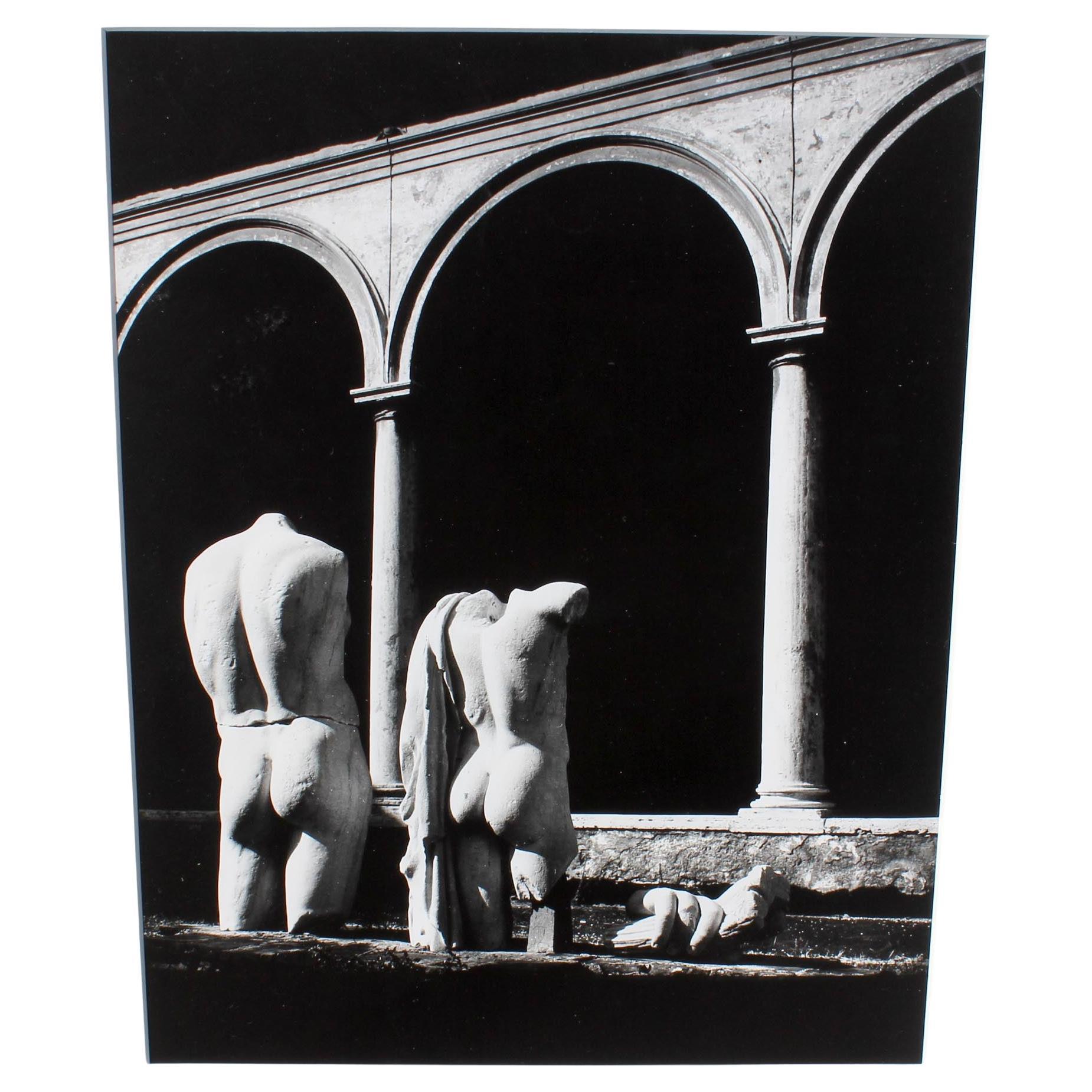 Black and White Photographs of Classical Male Nude Sculpture Set of Three  For Sale