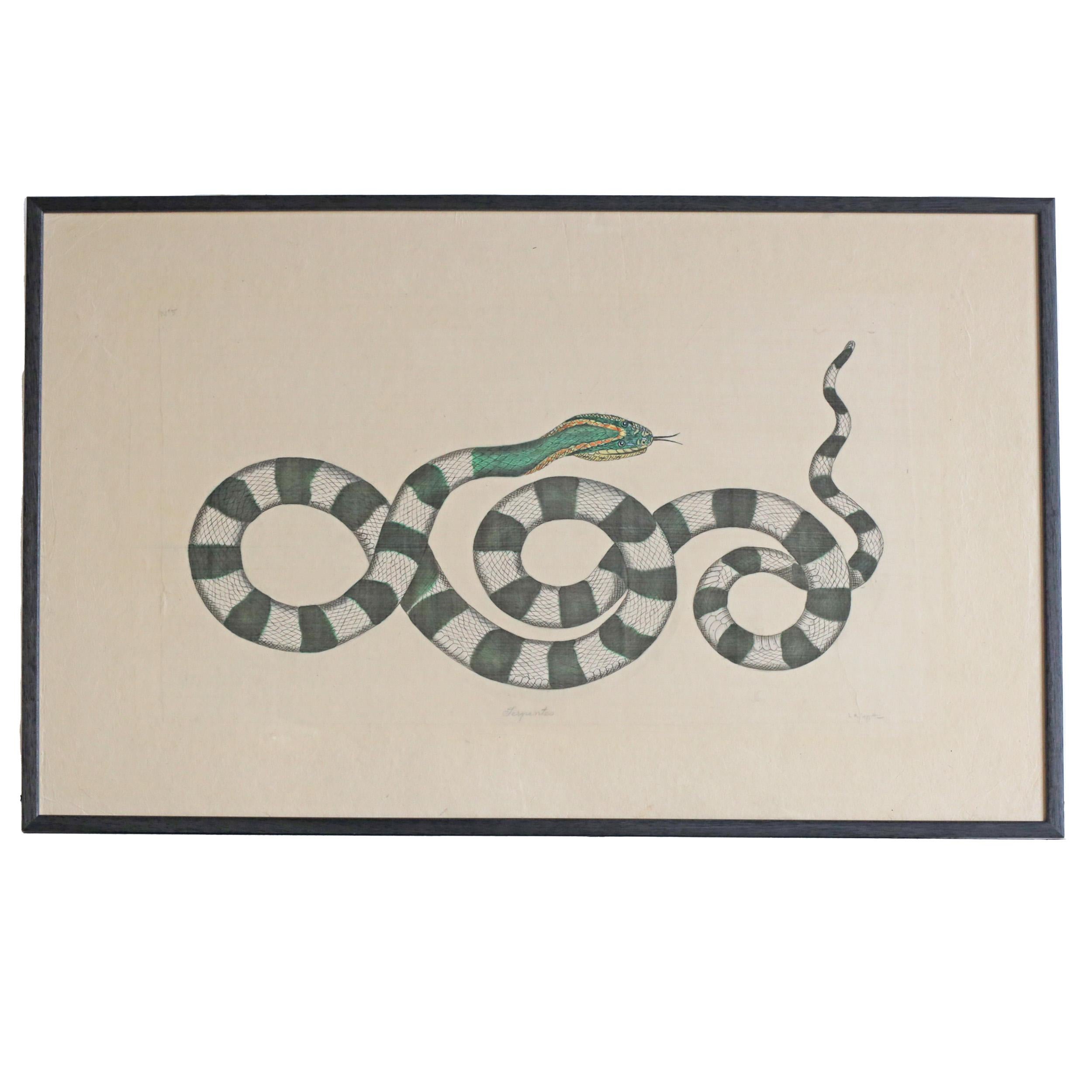 Mid-Century Modern Serpent noir et blanc Aquarelle de L.R. Laffitte