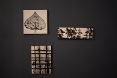 Black and White Vintage Collection of Danish Photography Wall Art Mounted Prints