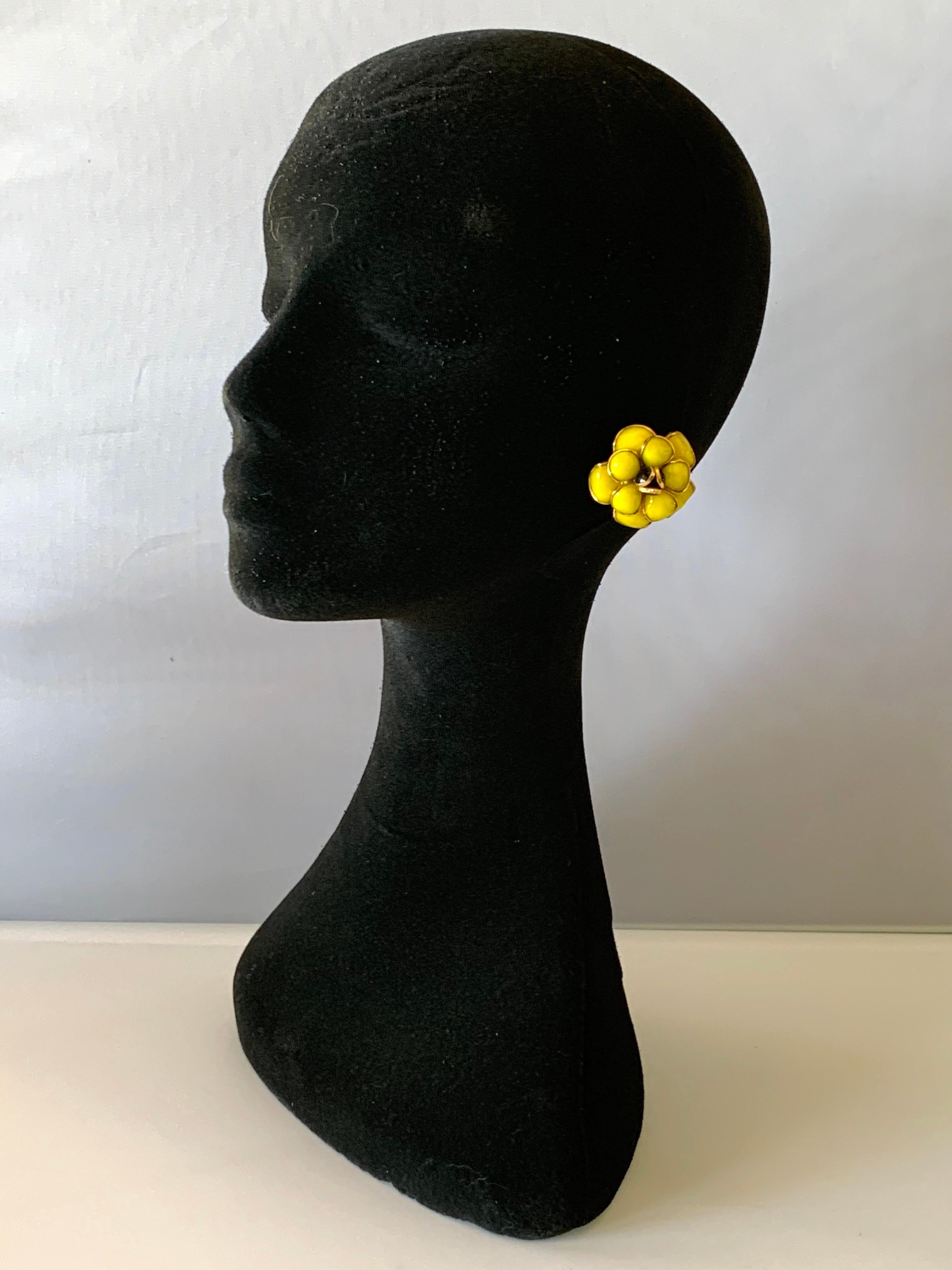 Black and Yellow Camellia 