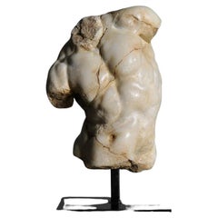 Black Apollo Torso Sculpture, Small Size, in Resin and Metal Base.