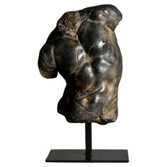 Black Apollo Torso Sculpture, Small Size, in Resin and Metal Base.