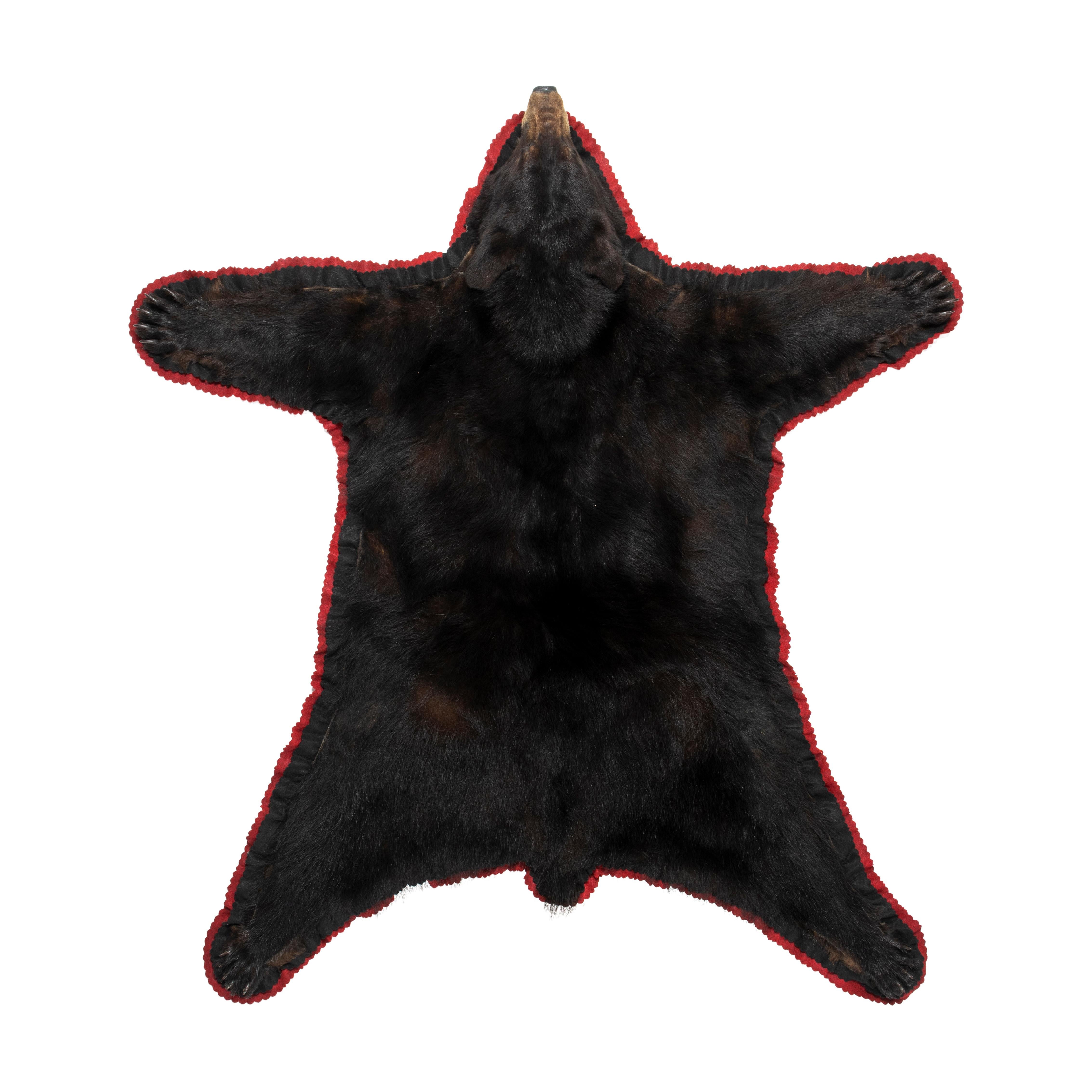 Black Bear Taxidermy Rug In Good Condition For Sale In Coeur d'Alene, ID