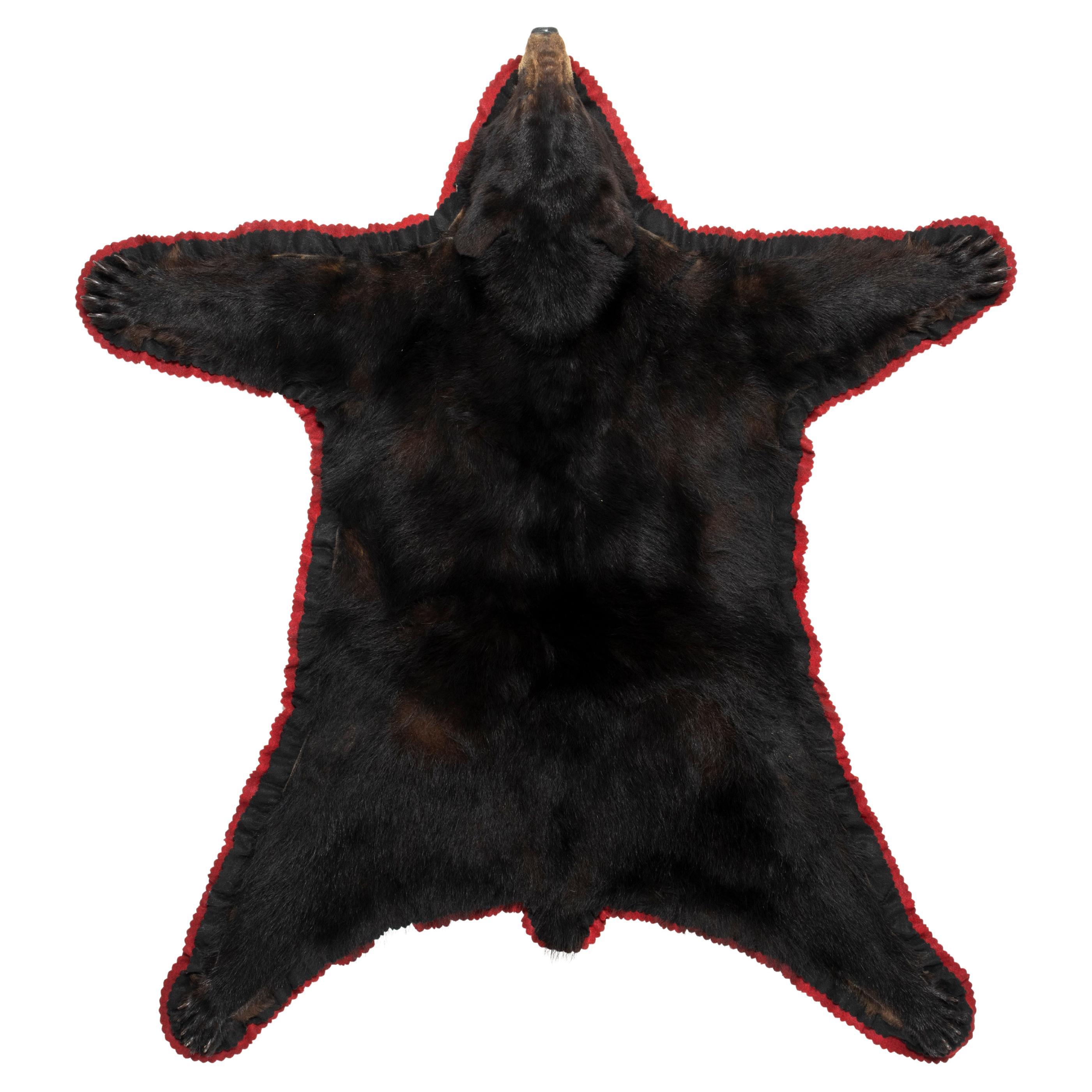 Black Bear Taxidermy Rug For Sale