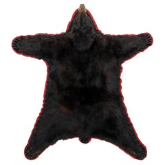 Vintage Black Bear Taxidermy Rug