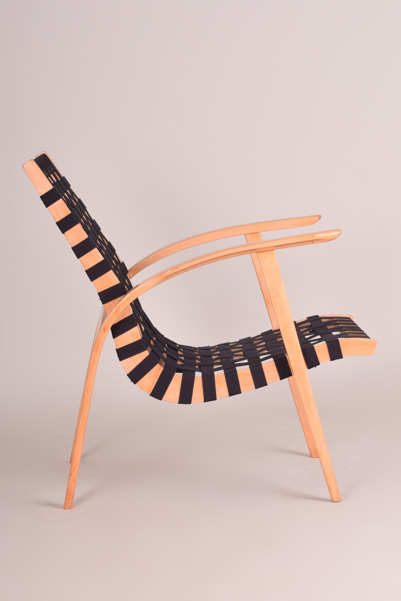 Mid-Century Modern Black/Beige Midcentury Beech Chair, Vaněk, Perfect Original Condition, 1930s