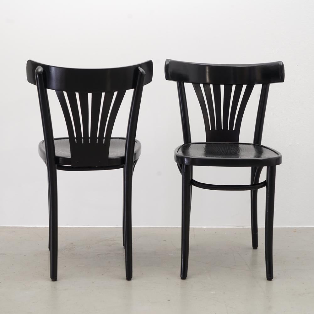 Mid-Century Modern Black Bentwood Chair from ZPM Radomsko, Poland