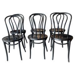 Black Bentwood Dining Chairs, Set of 6