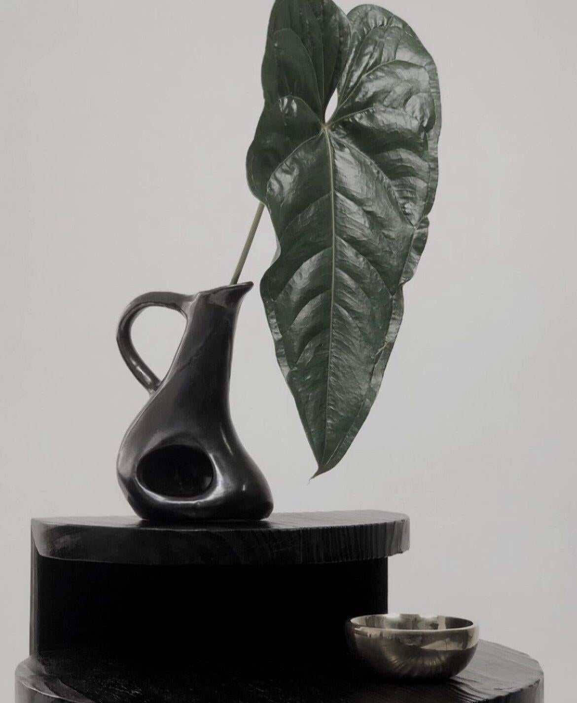 Brocca Biomorfa in ceramica nera di Hanna Englund Ceramics.
Brocca scultorea utilitaria in ceramica realizzata a mano. Progettato per essere utilizzato come brocca, vaso o come punto focale scultoreo. Realizzato in gres nero ricoperto da uno
