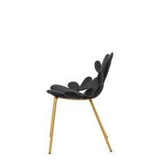 Black / Brass Cactus Chair by Marcantonio, Made in Italy