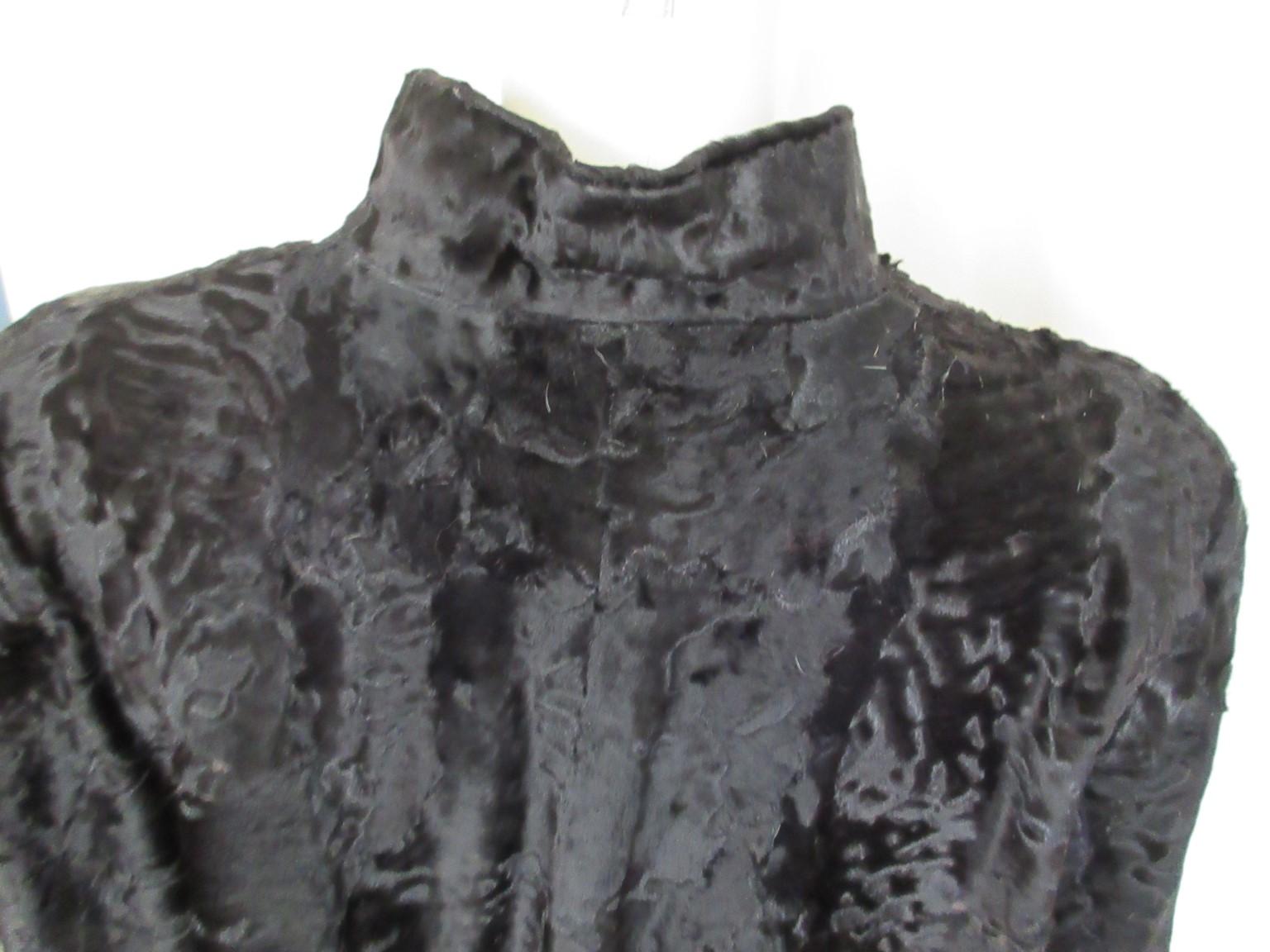 broadtail fur
