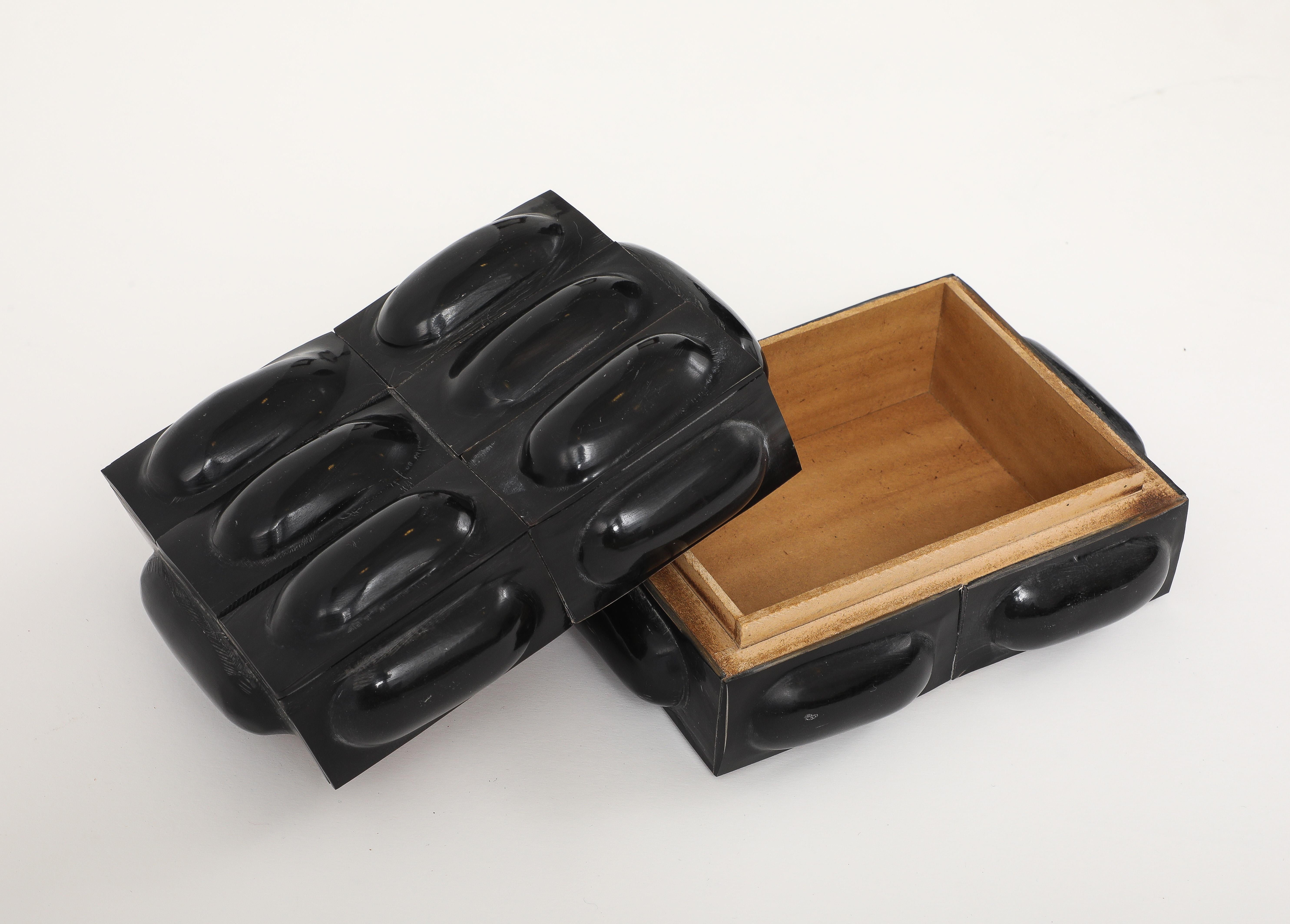 Schwarzer Büffel Horn Box im Angebot 2
