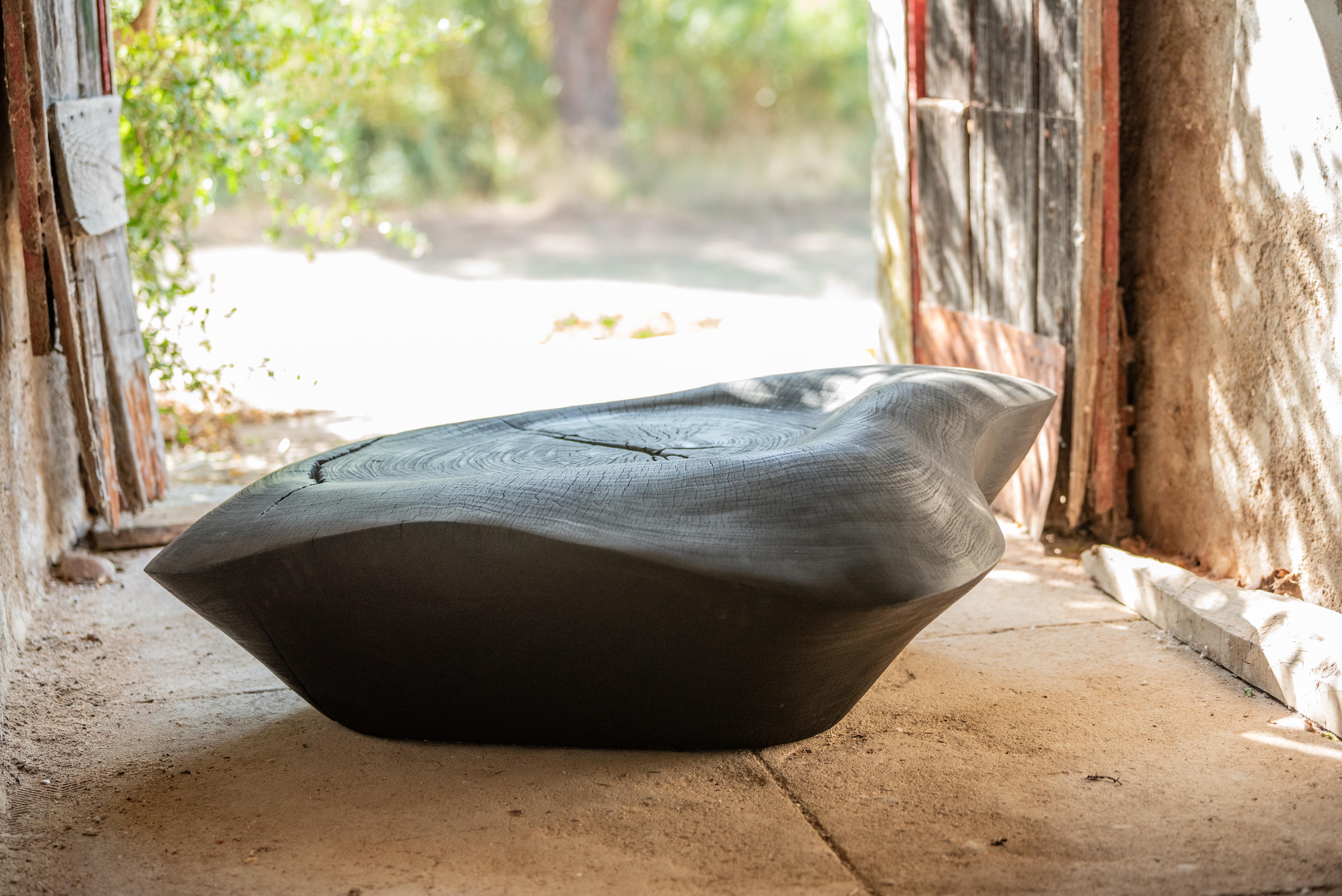 Black Burned zazinga contemporary low table For Sale 6