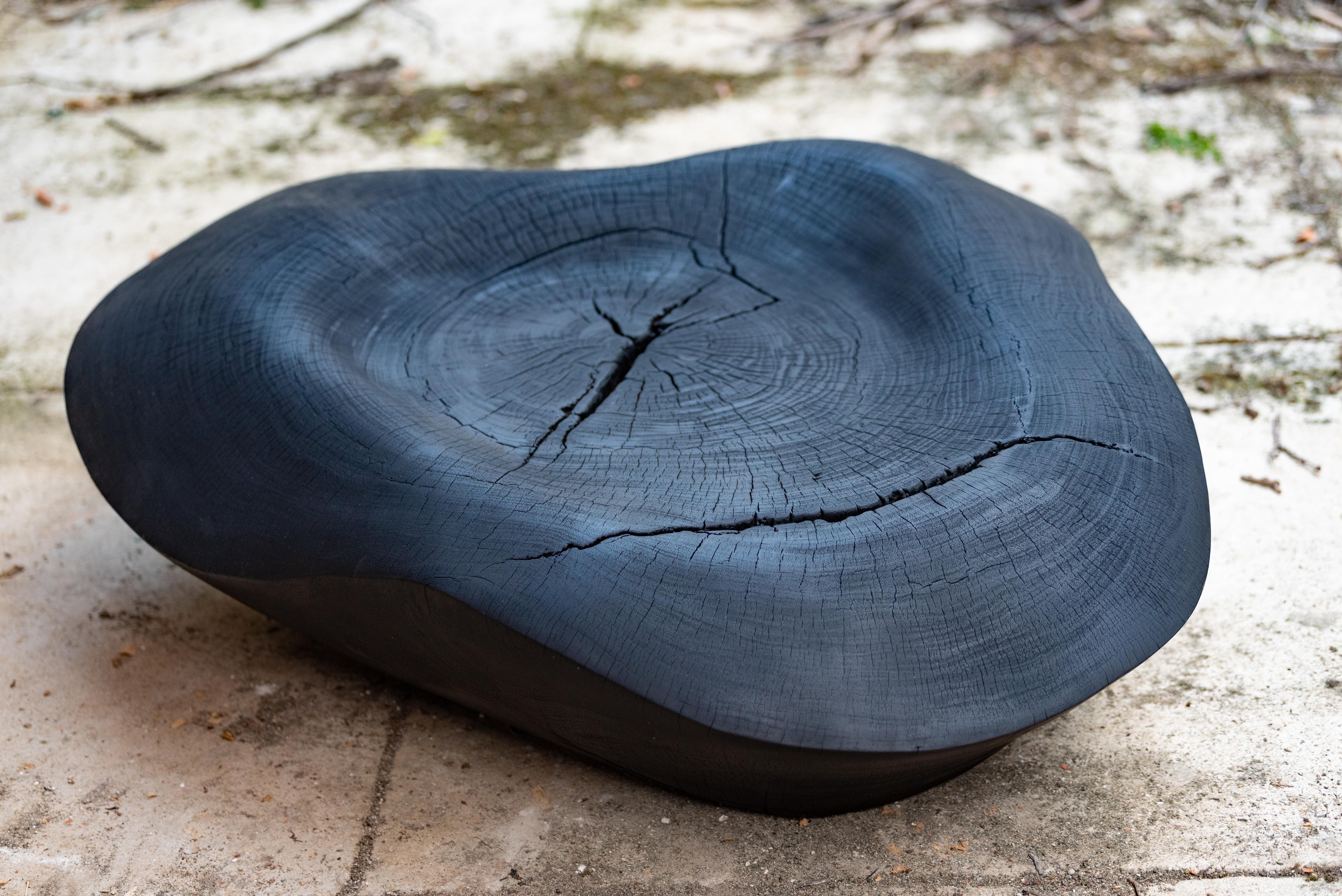 Black Burned zazinga contemporary low table For Sale 1