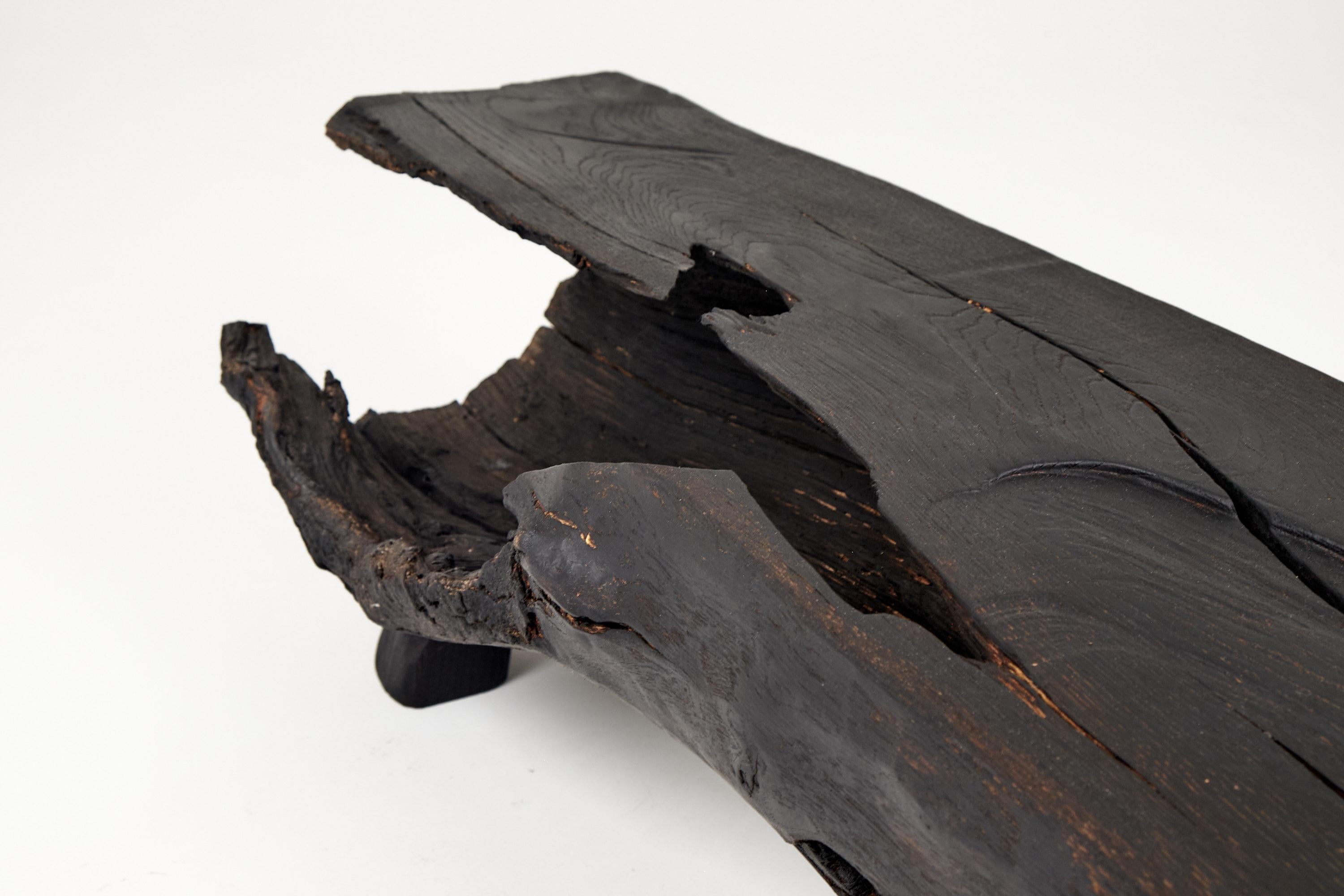 Black Burnt Wood, Panchina brutalista, Da esterno e da interno, Naturale ed ecologica in vendita 9