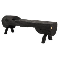 Madera Quemada Negra, Banco Brutalista, Exterior e Interior, Natural y Ecológico