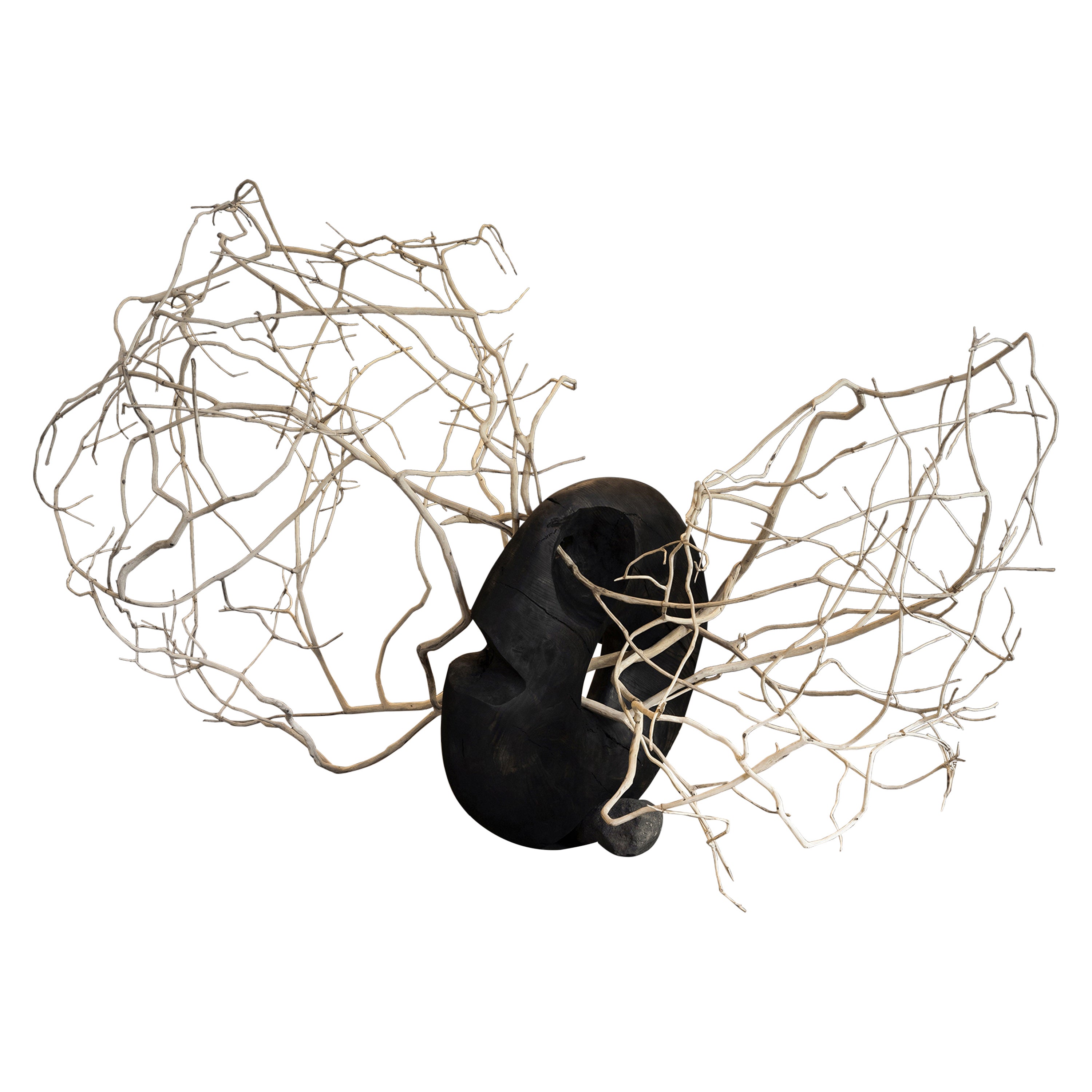Black Carved Wood, Twisted Branches, Organic Form Sculpture by Jérôme Pereira For Sale