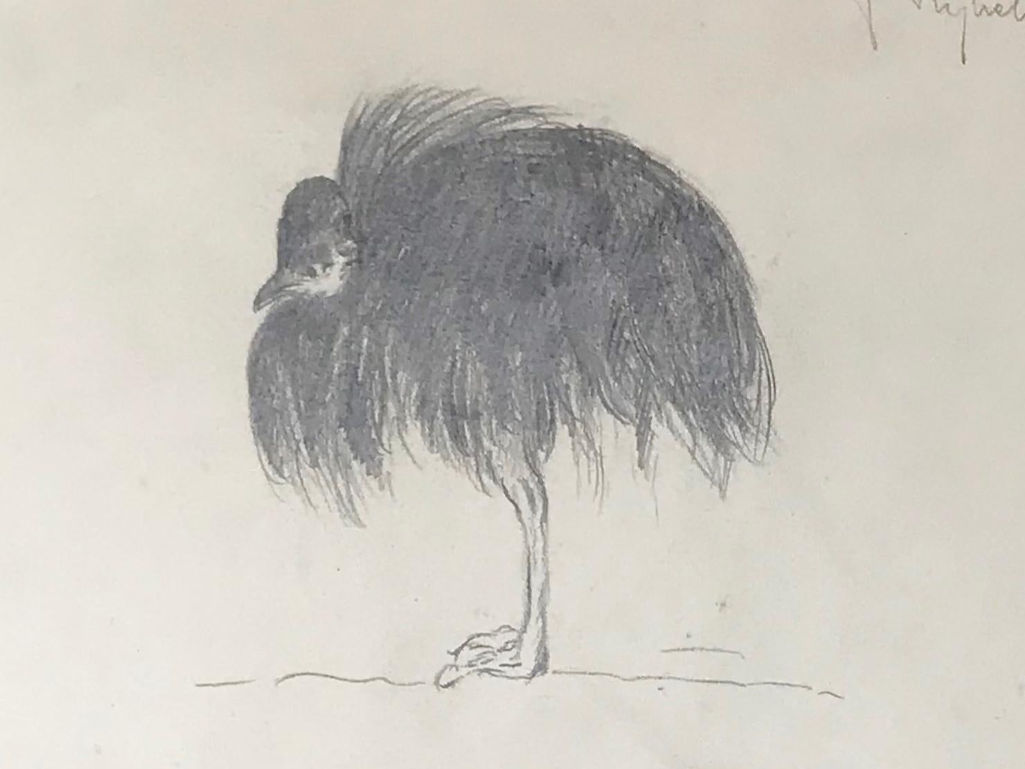 Black cassoary drawing, Guido Righetti, 1919. Original vintage Italian pencil drawings/sketches of a black cassoary in various poses from a series undertaken by Righetti for his sculptures in bronze including a boar, an elephant, a black cassoary, a