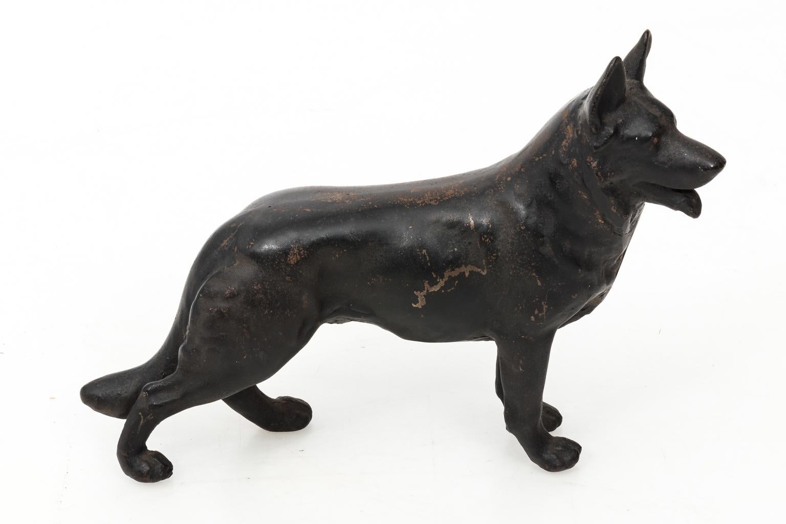 black germanshepard