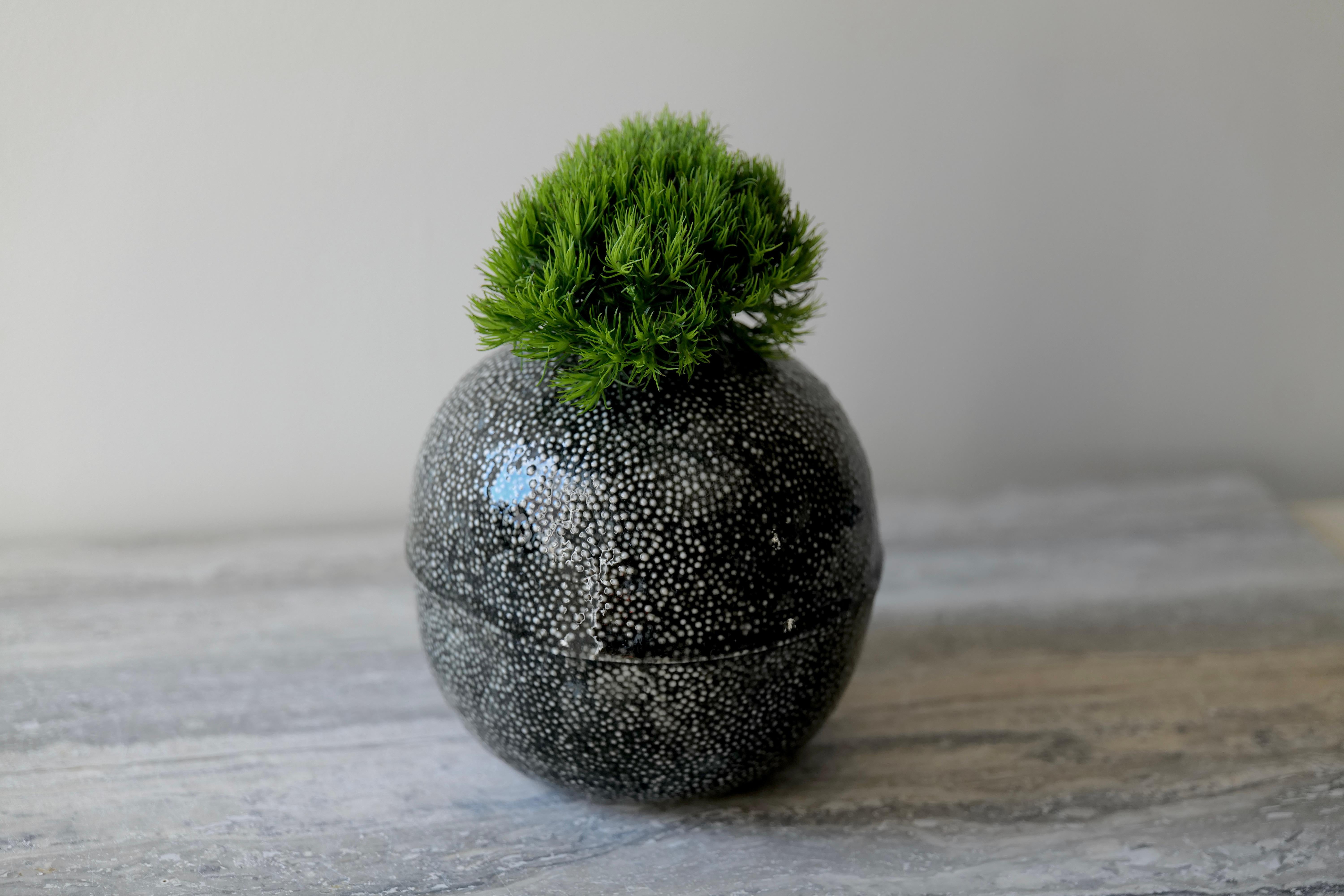 Vaso in porcellana Black Caviar In condizioni Nuovo in vendita a New York City, NY