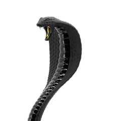 Black Cobra Sculpture