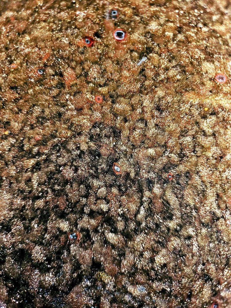 Ciotola in vetro di Murano nero e rame infuso, design A Bugne con avventurina in vendita 2