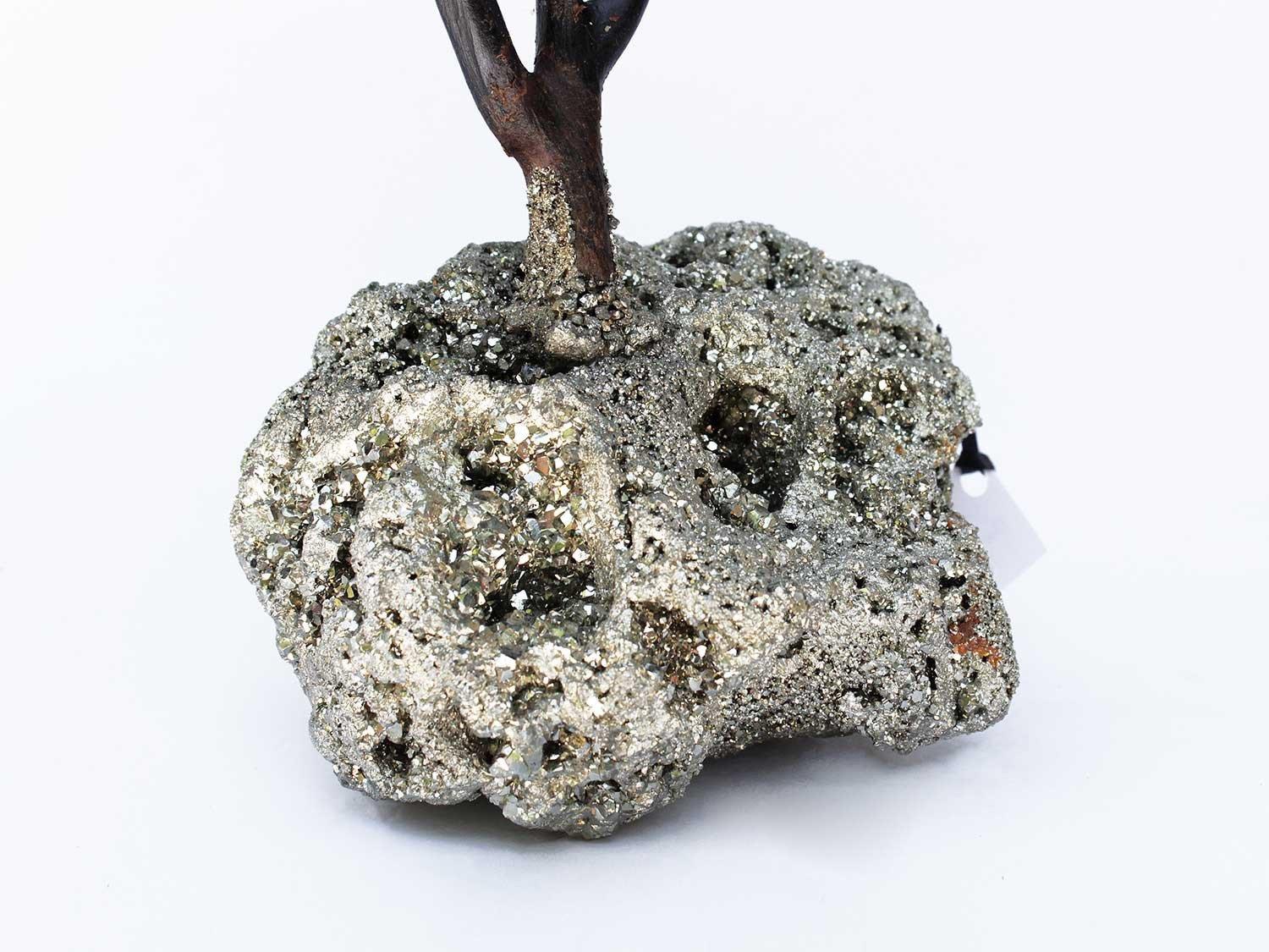 Schwarze Koralle auf einem Pyritkristallsockel mit einer Muschel aus Fossil (amerikanisch) im Angebot