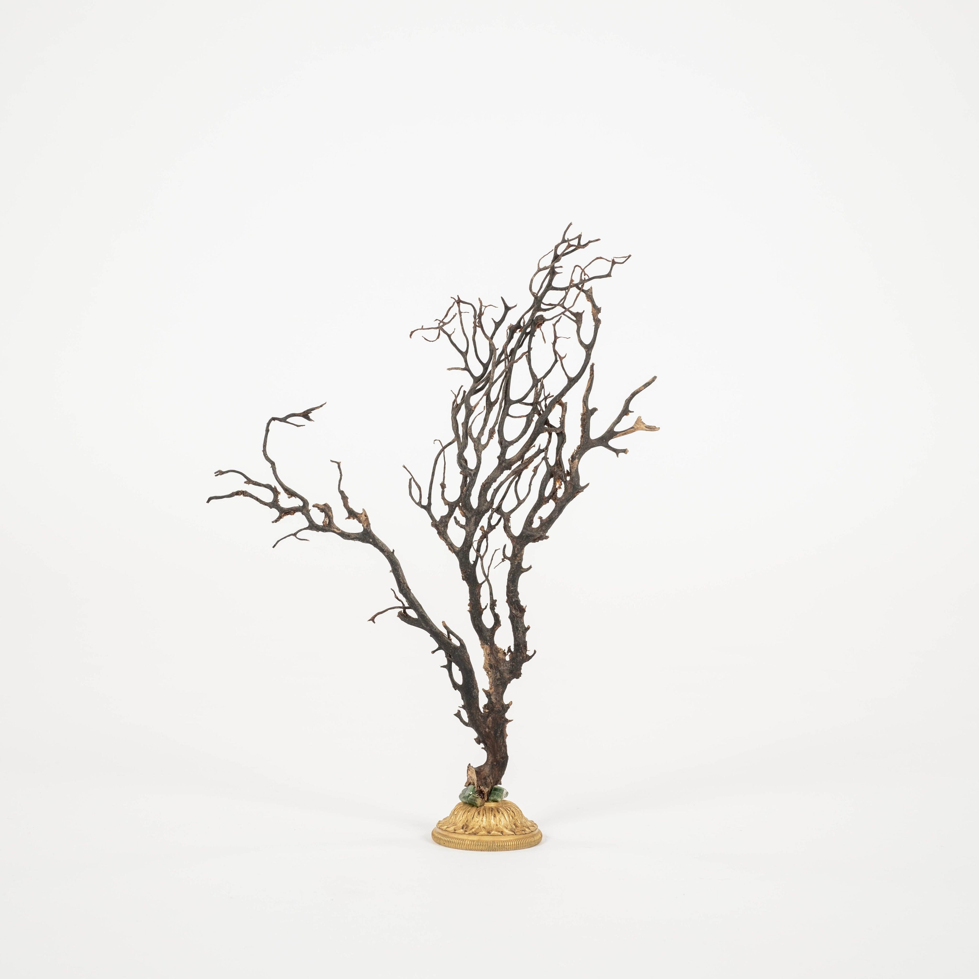 Eventail de mer en corail noir rehaussé d'émeraudes naturelles monté sur un fragment de bronze doré français du XIXe siècle. Il s'agit d'un bel objet d'art à ajouter à votre collection ou à votre cabinet.  

À la Renaissance, des cabinets d'art et