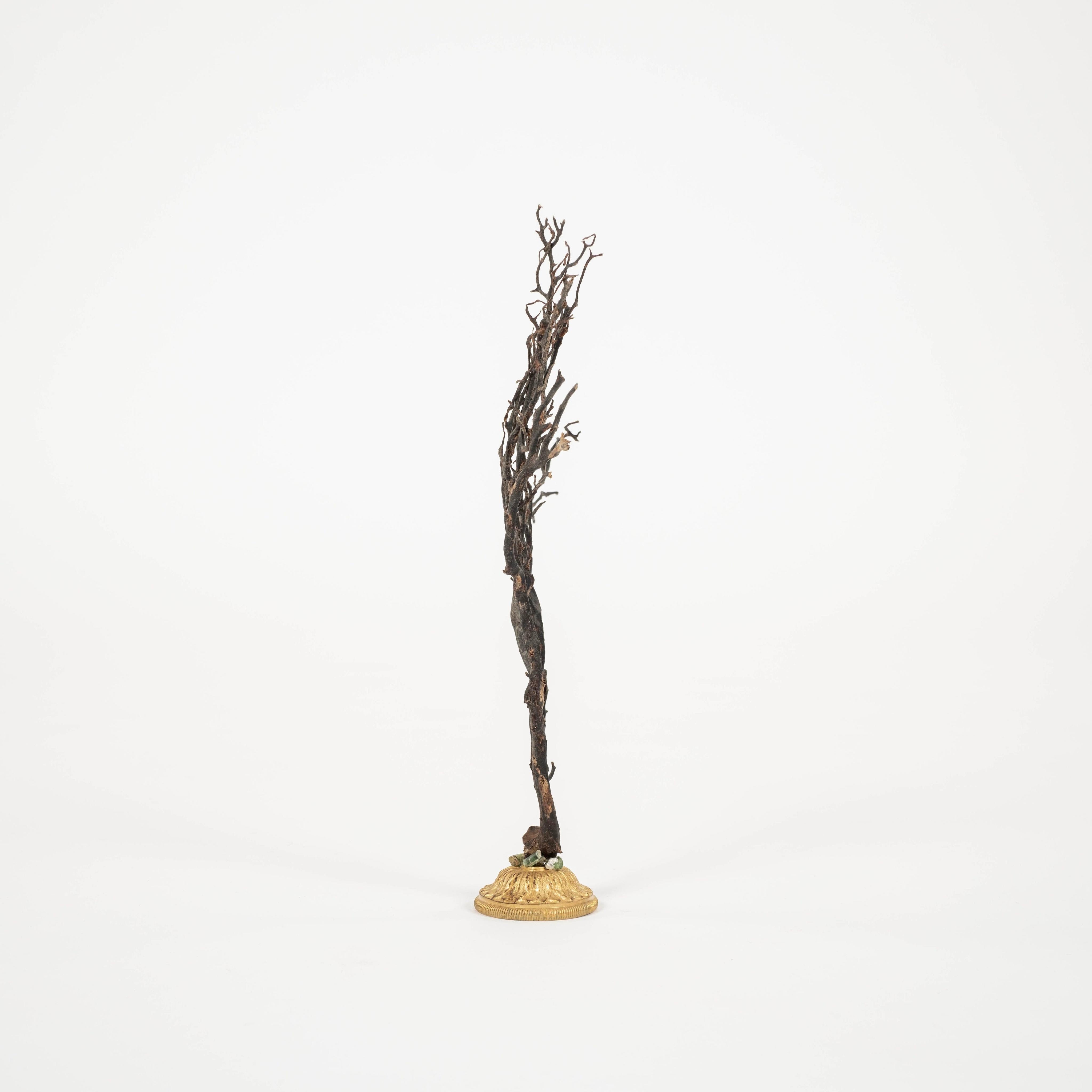 Renaissance Sculpture d'éventail de mer en corail noir~ Fragment de bronze doré en vente