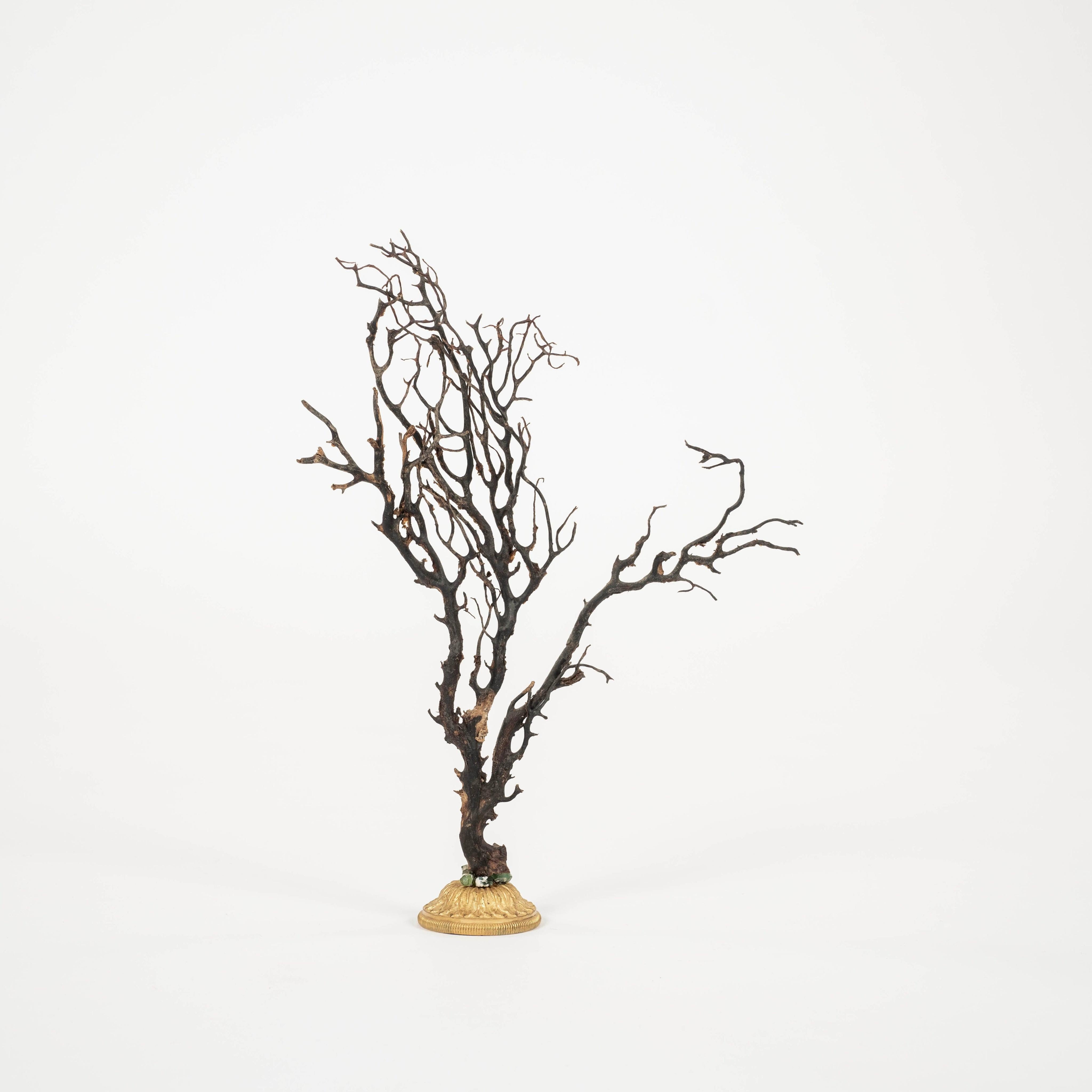 Sculpture d'éventail de mer en corail noir~ Fragment de bronze doré Bon état - En vente à Houston, TX