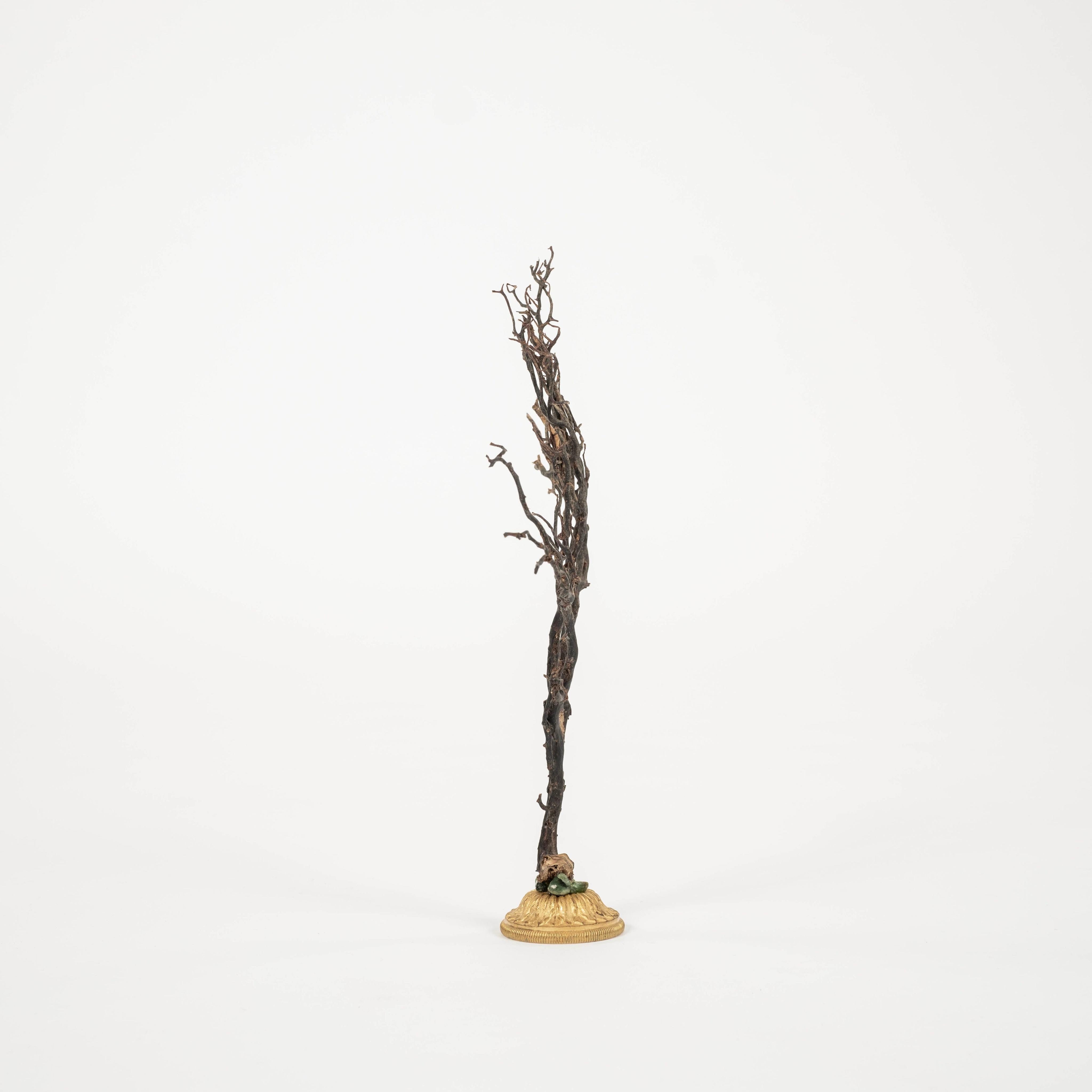 XXIe siècle et contemporain Sculpture d'éventail de mer en corail noir~ Fragment de bronze doré en vente