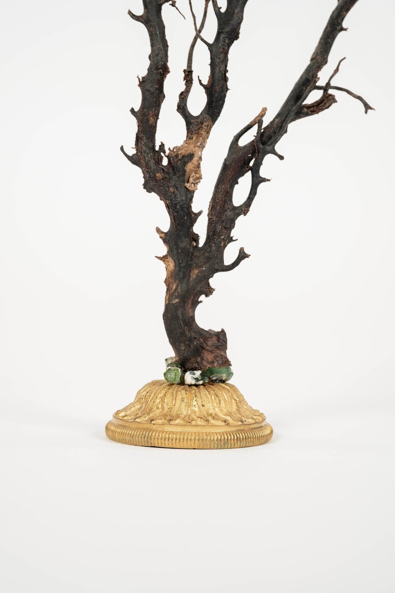 Sculpture d'éventail de mer en corail noir~ Fragment de bronze doré en vente 1