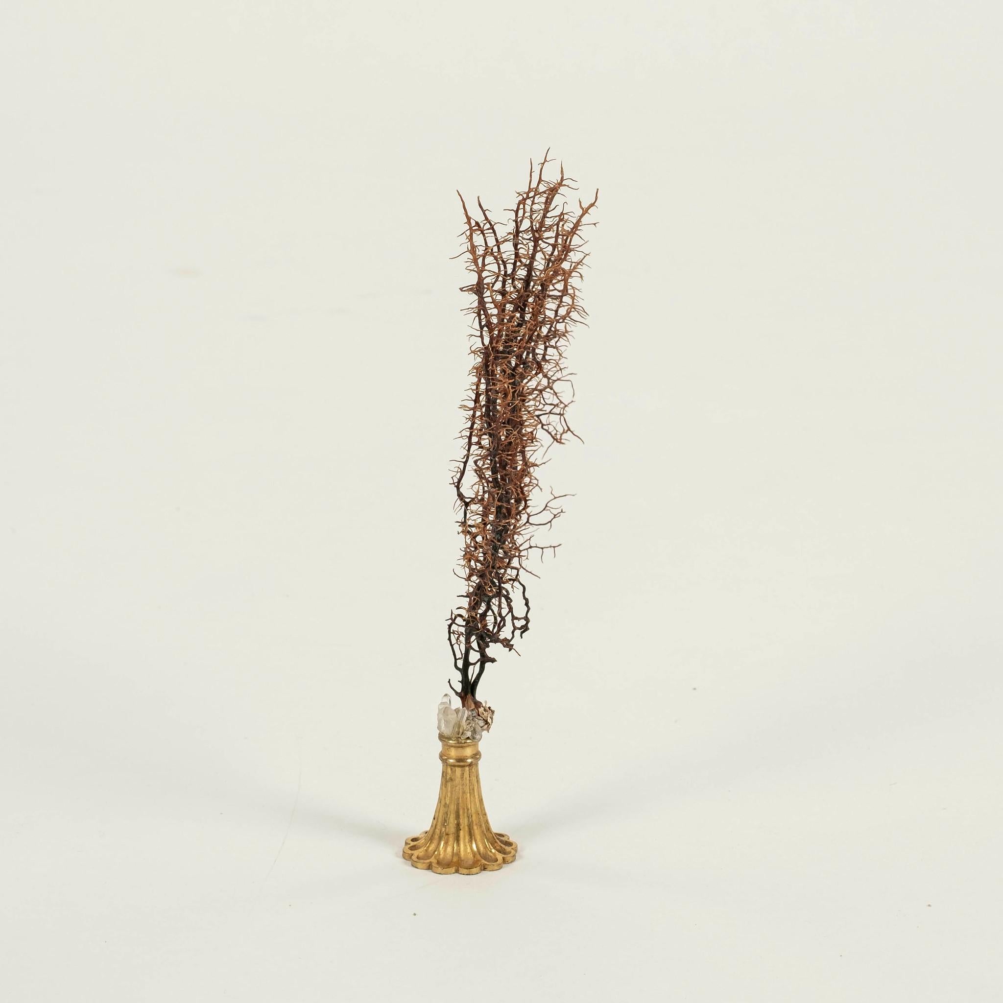 Eventail de mer en corail noir rehaussé de quartz naturel monté sur un fragment de bronze doré Napoléon III du XIXe siècle. Il s'agit d'un bel objet d'art à ajouter à votre collection ou à votre cabinet.

À la Renaissance, des cabinets d'art et de